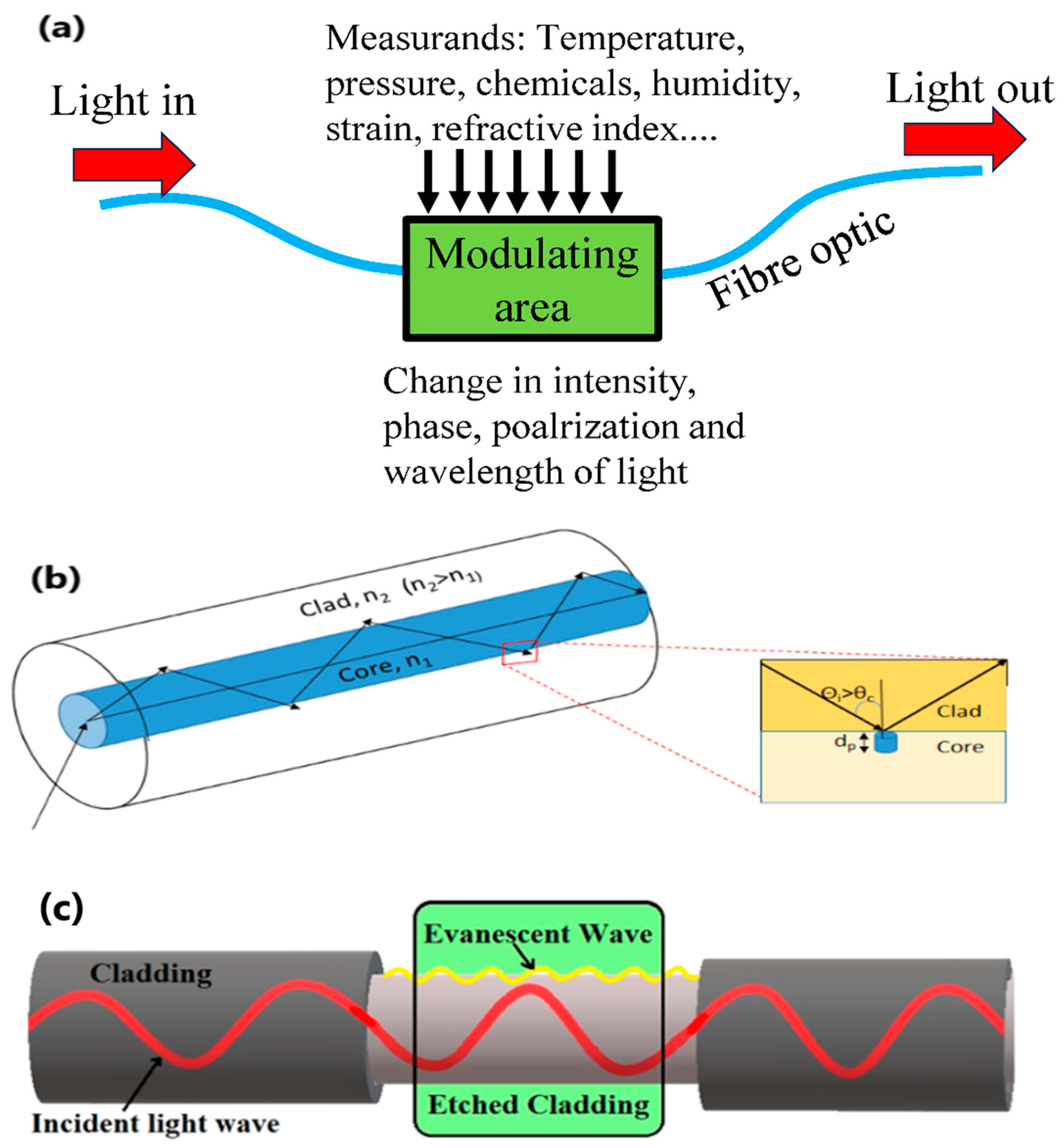 Chemosensors 13 00049 g002