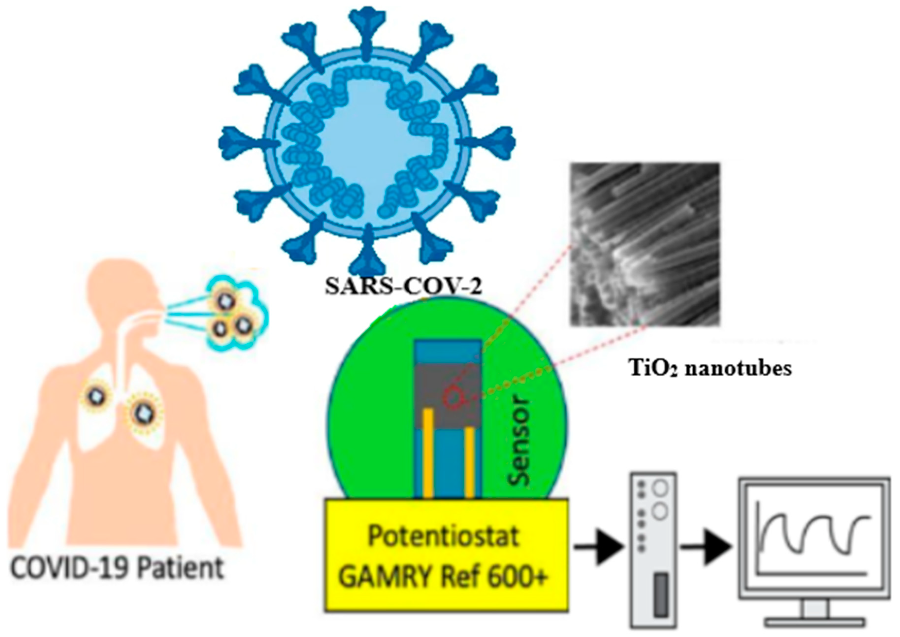 Chemosensors 13 00049 g005