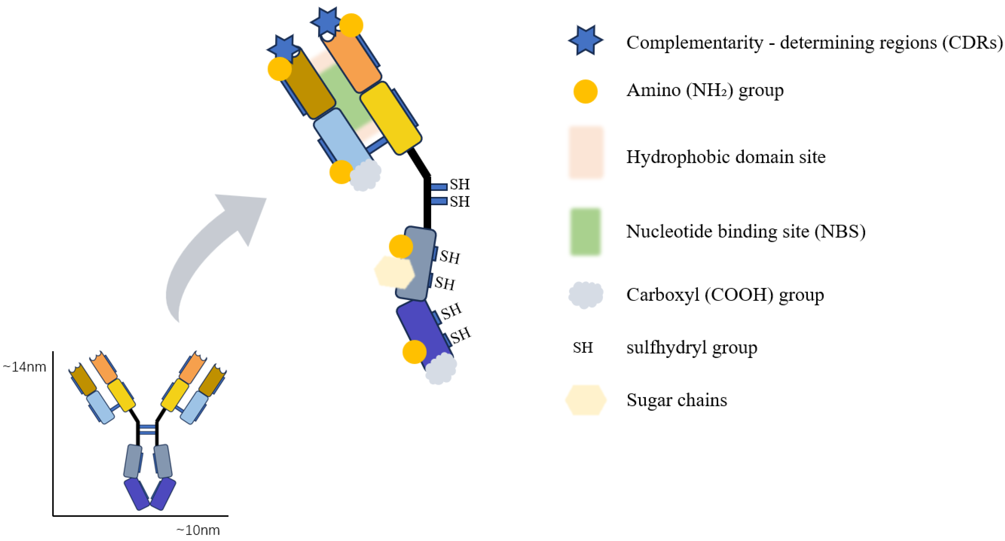 Chemosensors 13 00050 g006