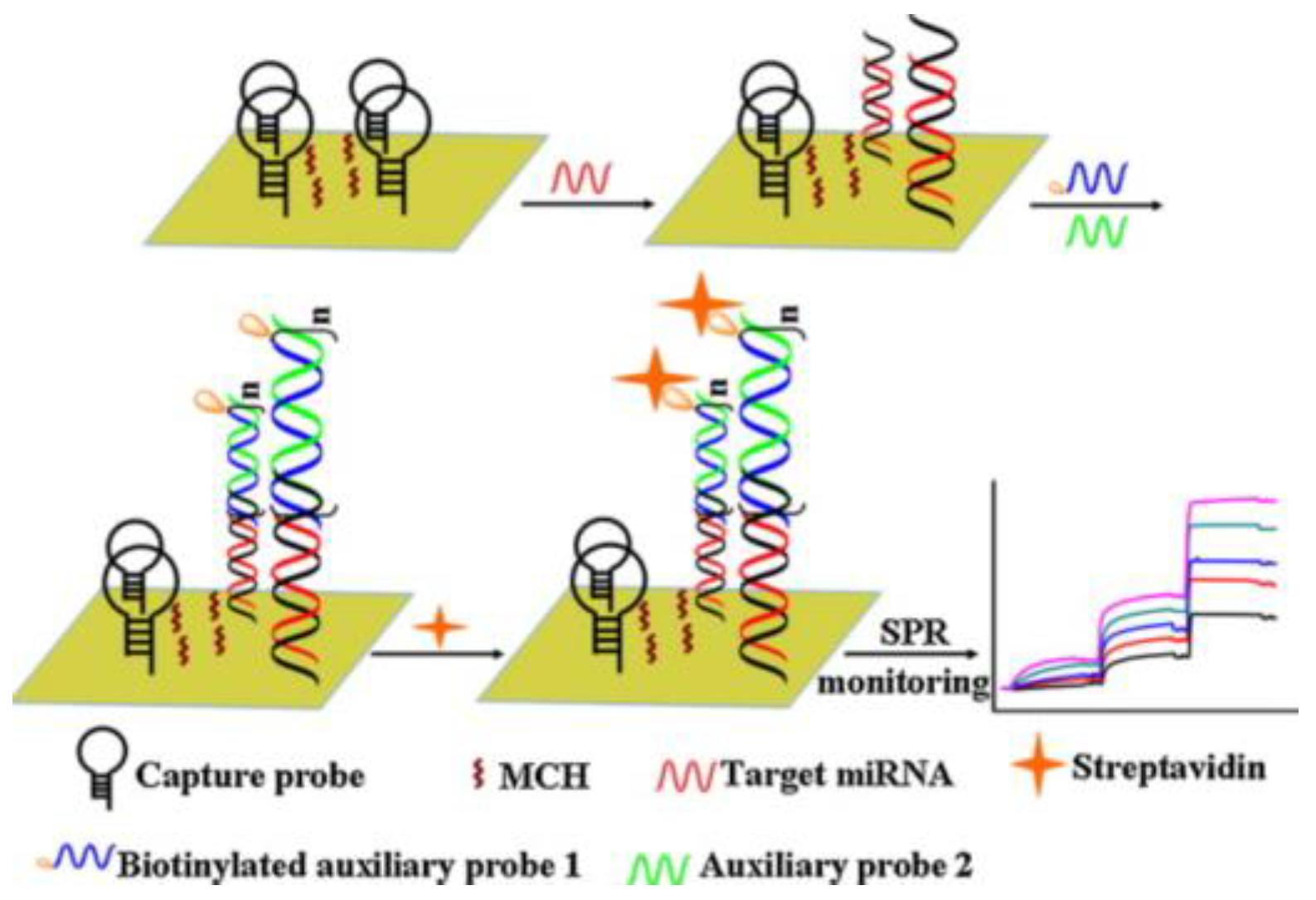 Chemosensors 13 00050 g013