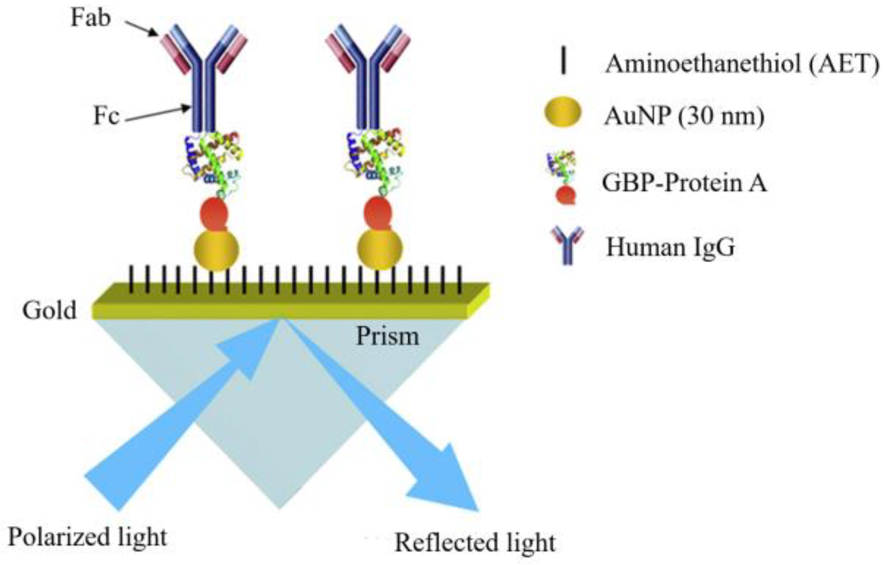 Chemosensors 13 00050 g017