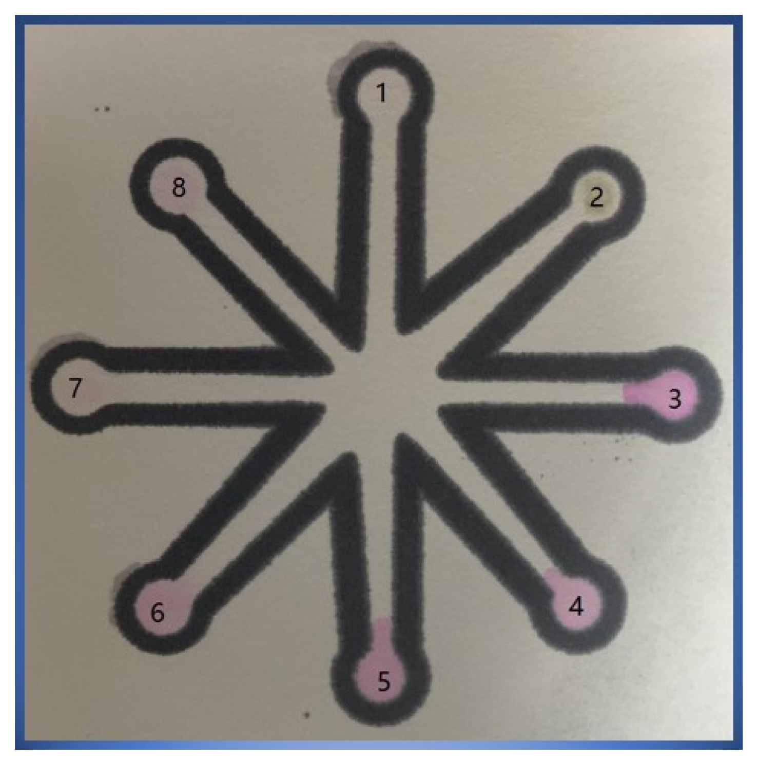 Chemosensors 13 00051 g002