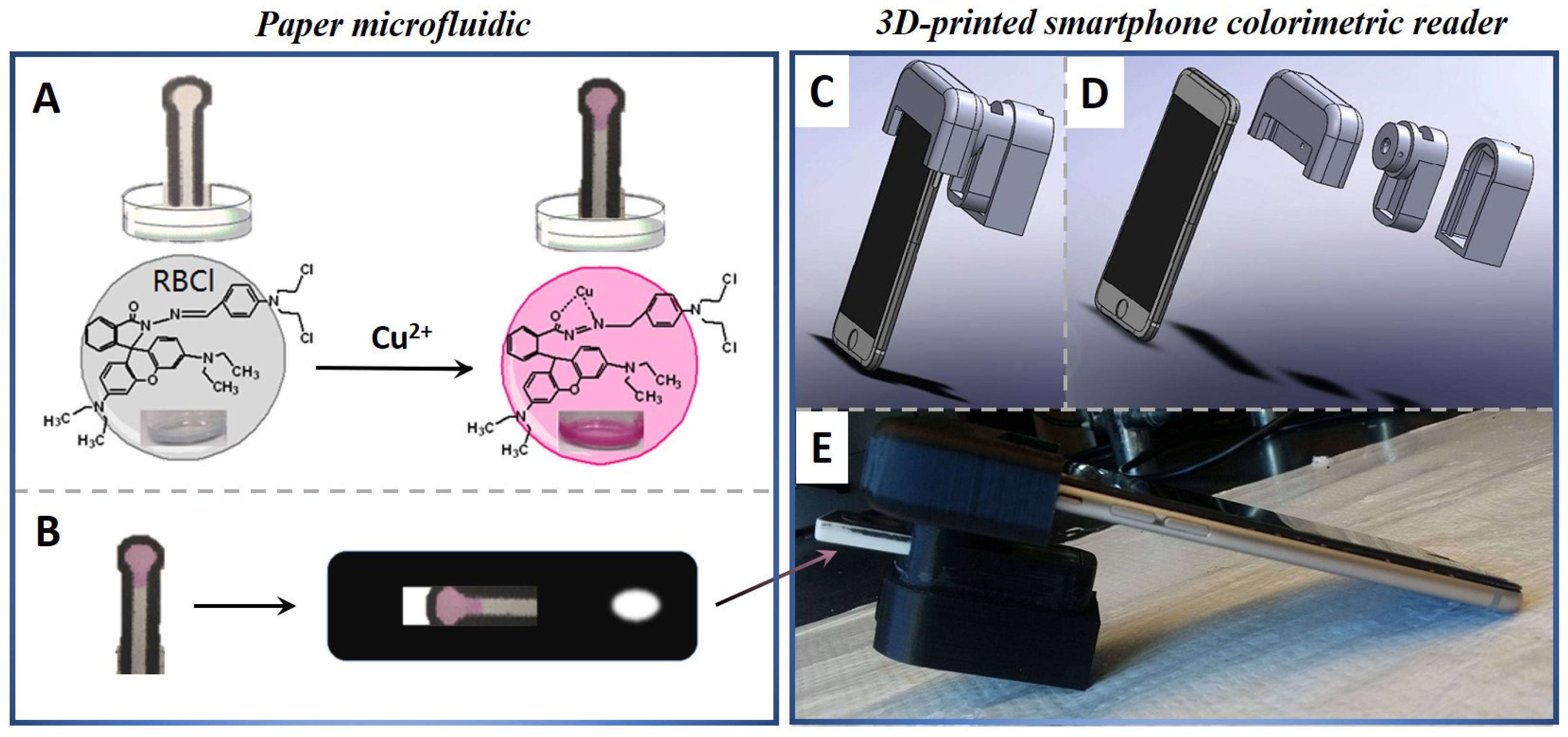 Chemosensors 13 00051 sch001