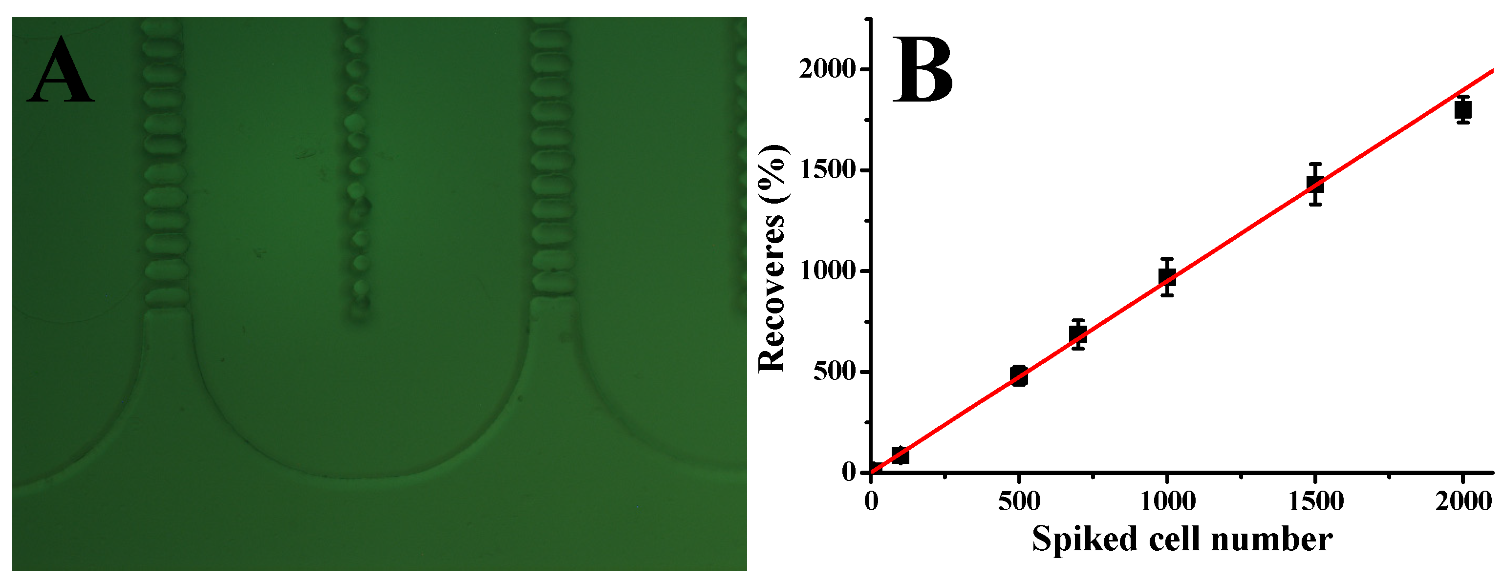 Chemosensors 13 00064 g003