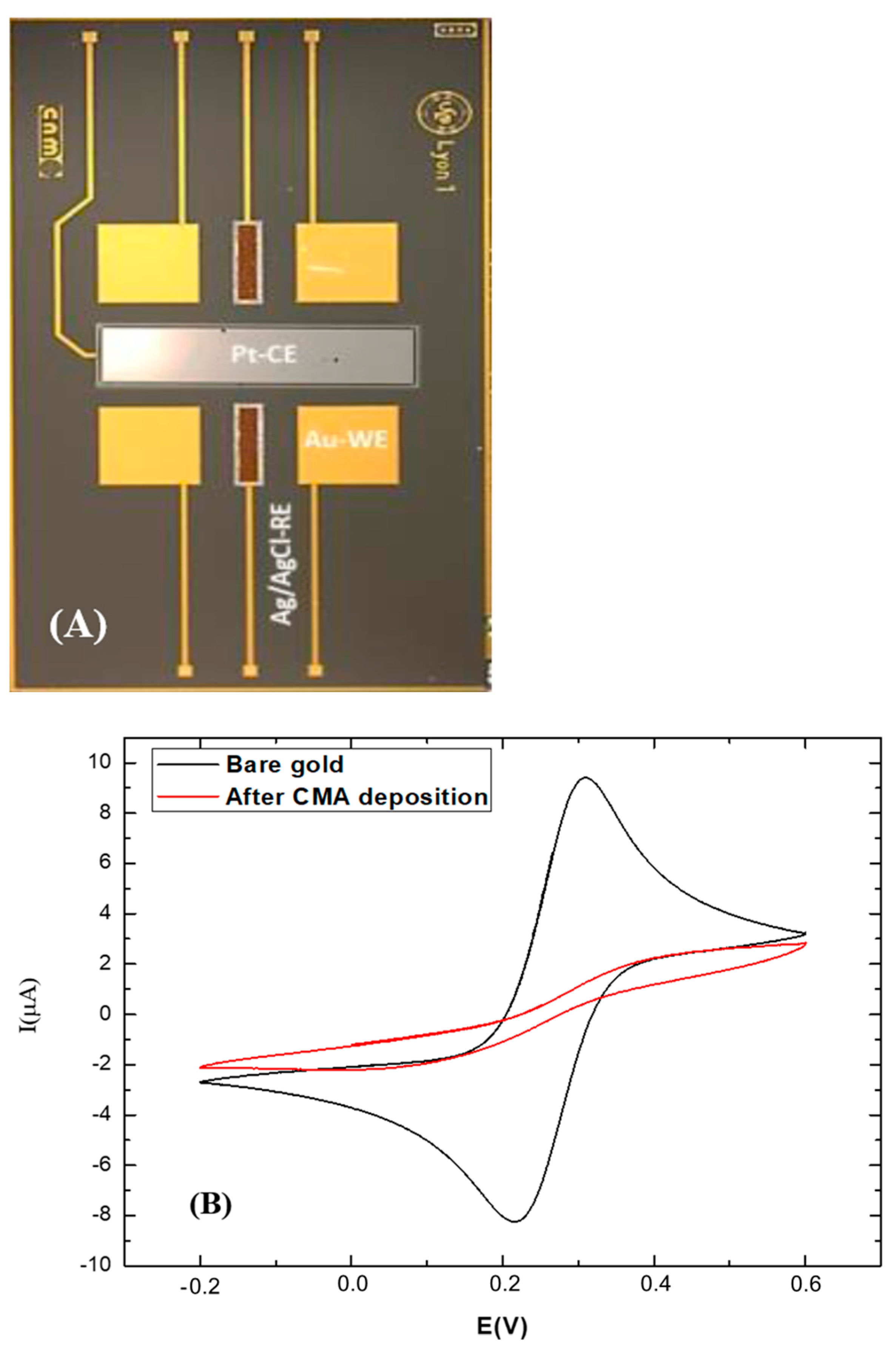 Chemosensors 13 00066 g001