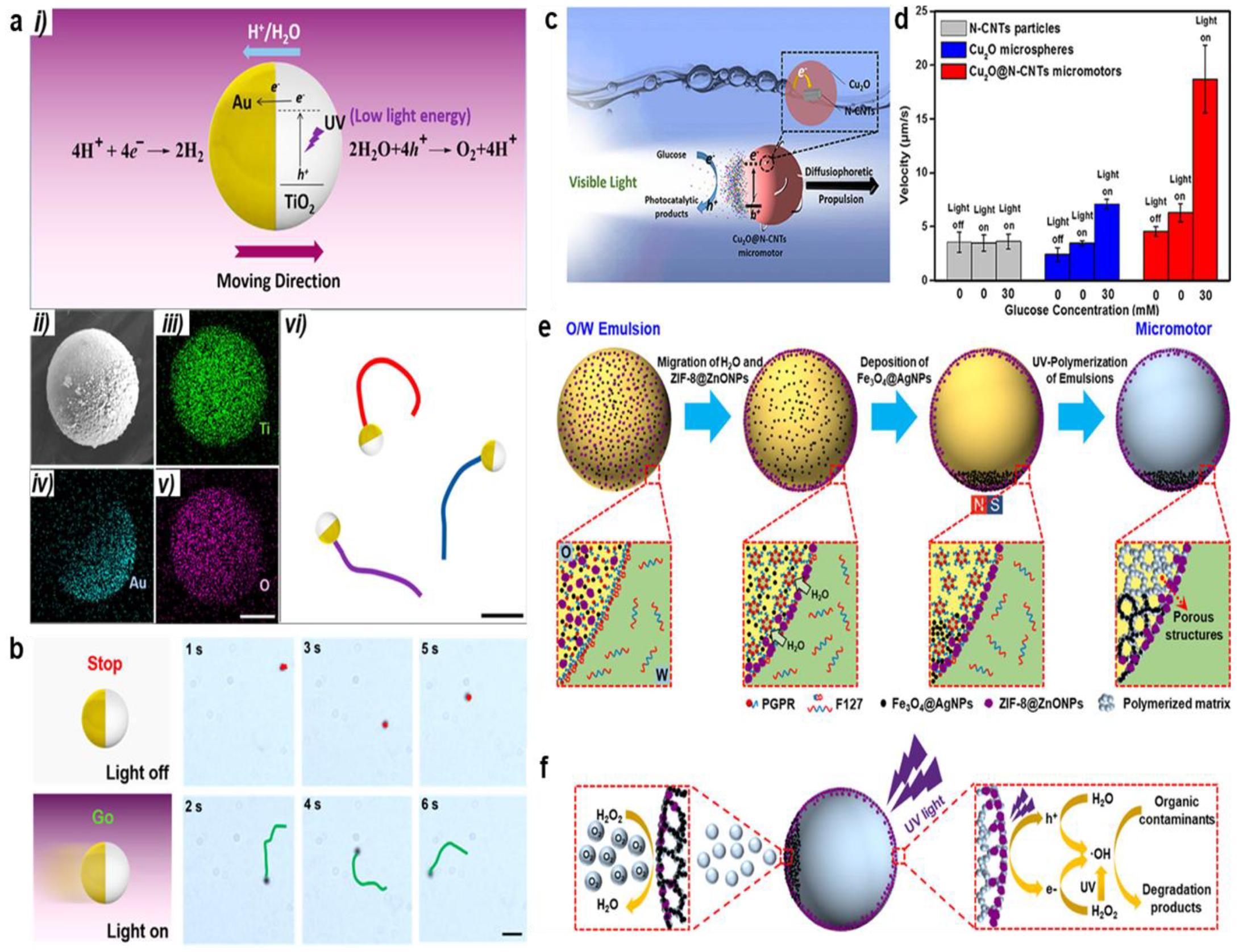 Chemosensors 13 00069 g001