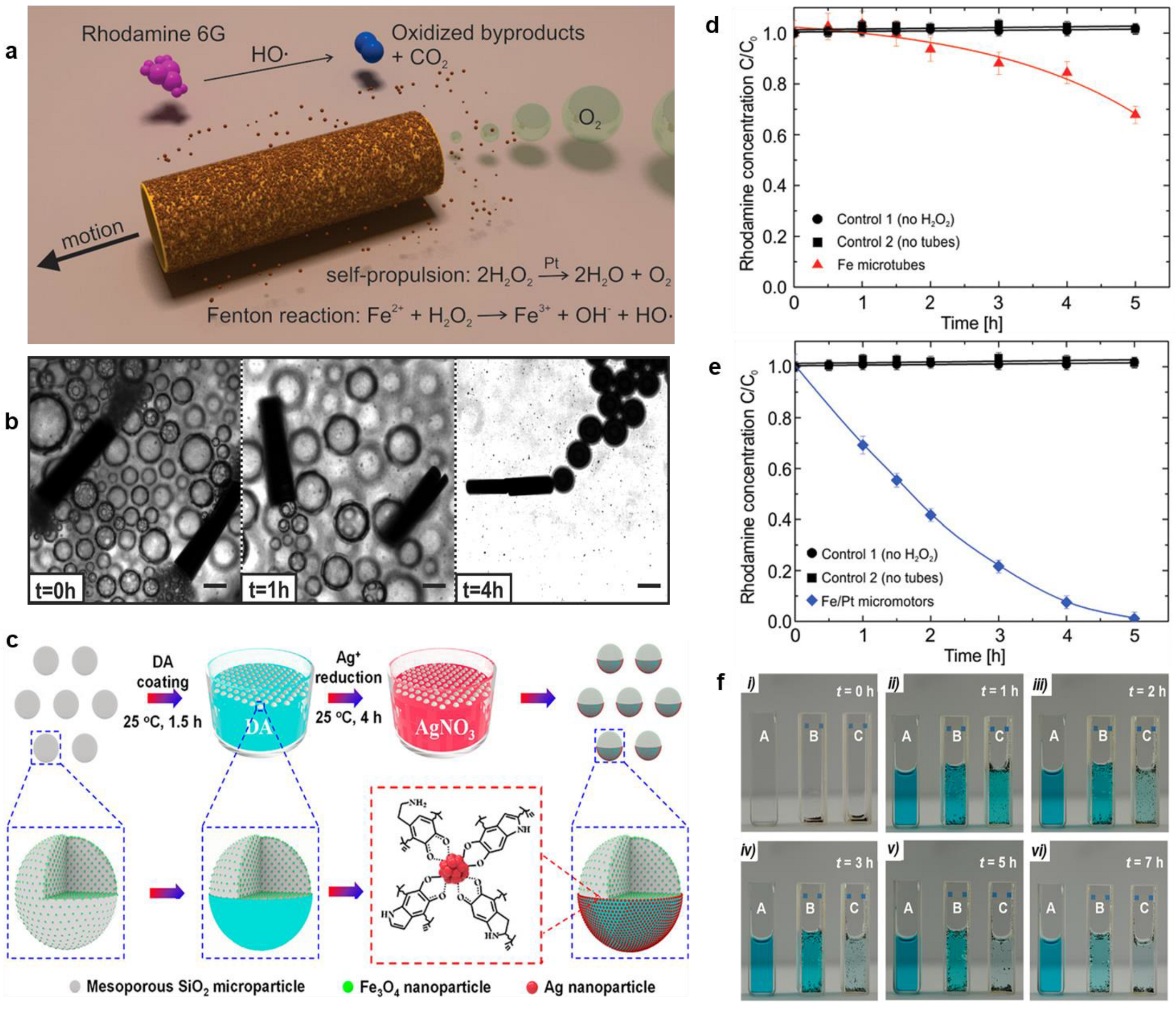 Chemosensors 13 00069 g003
