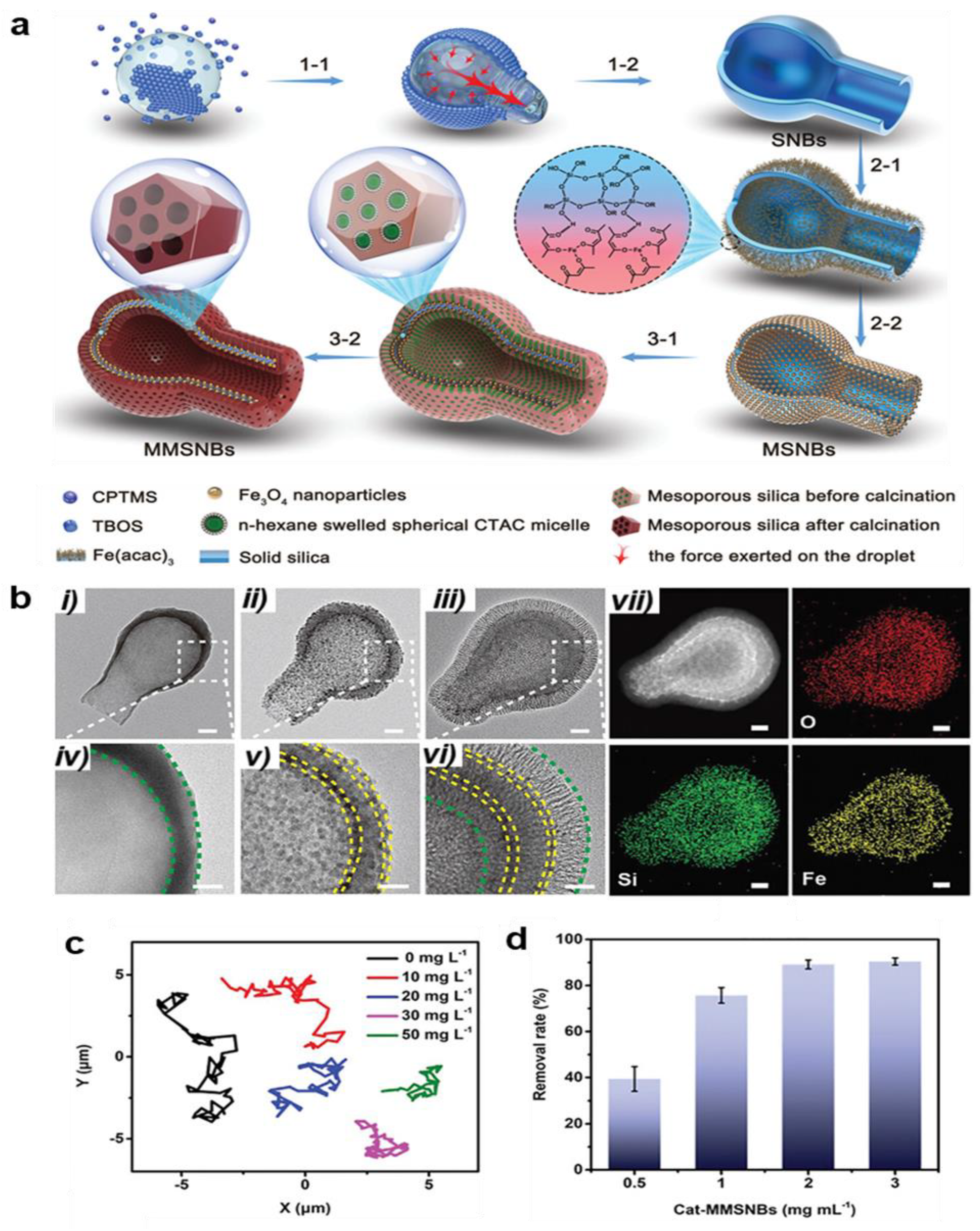 Chemosensors 13 00069 g005