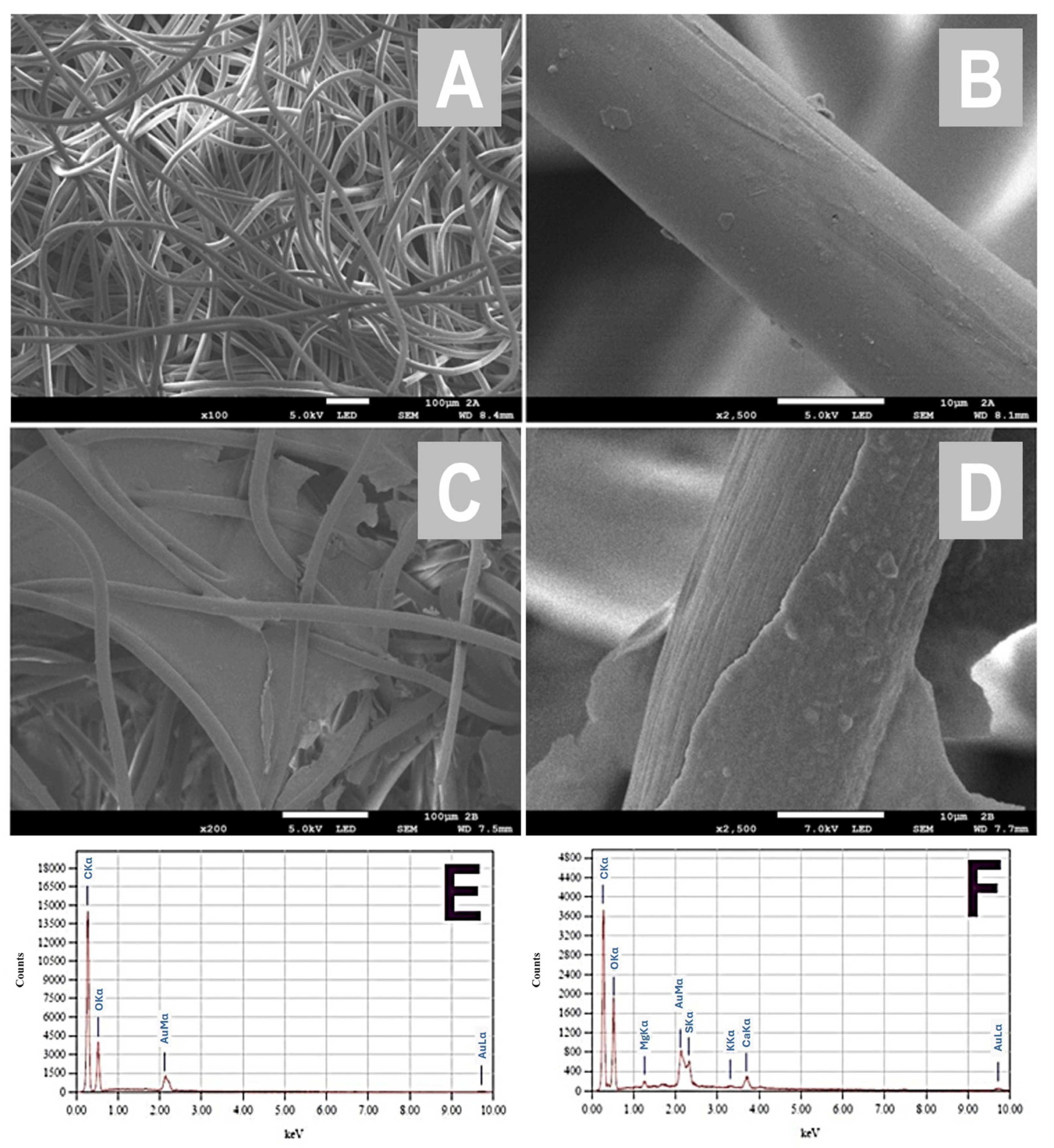 Chemosensors 13 00075 g001