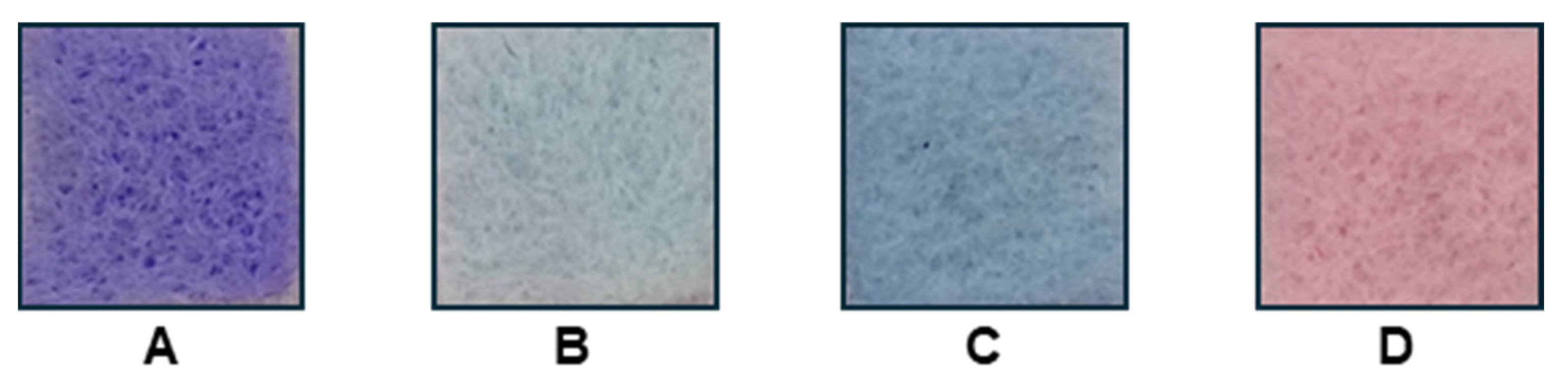 Chemosensors 13 00075 g002