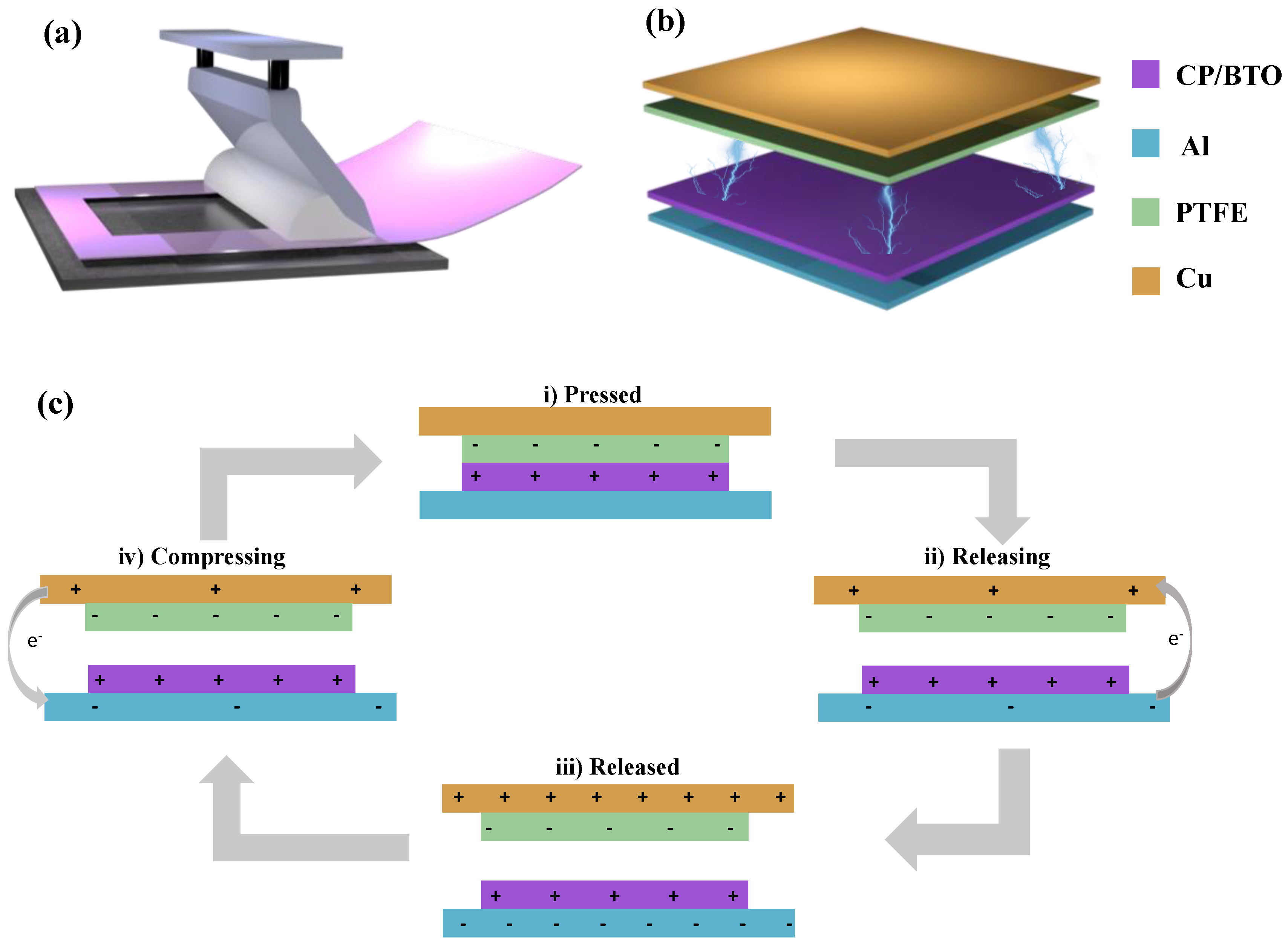 Chemosensors 13 00076 g001