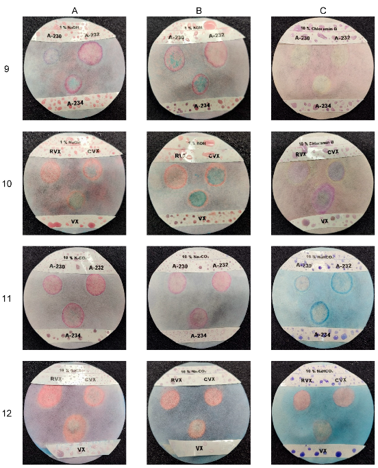Chemosensors 13 00077 g008
