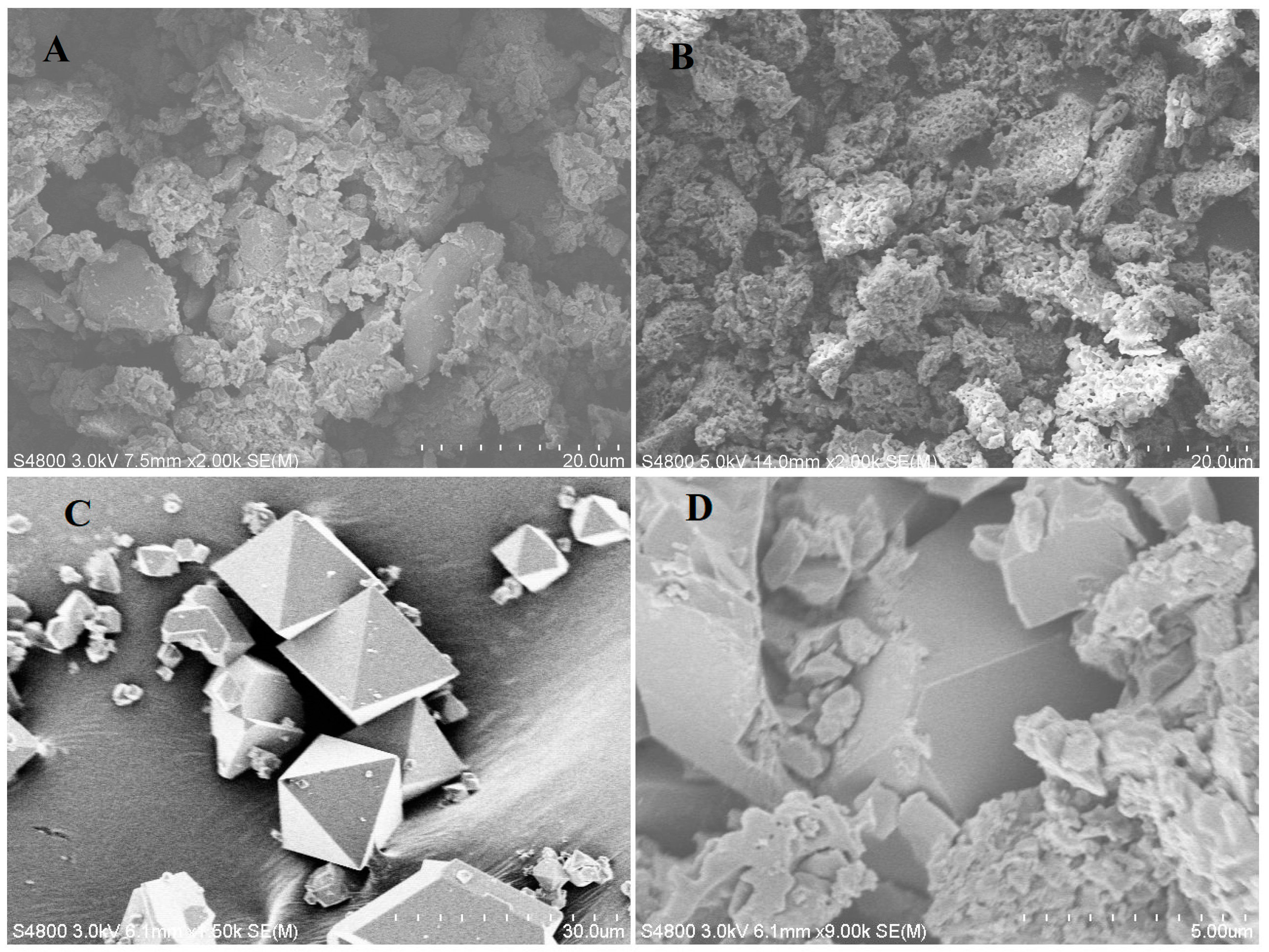 Chemosensors 13 00082 g001