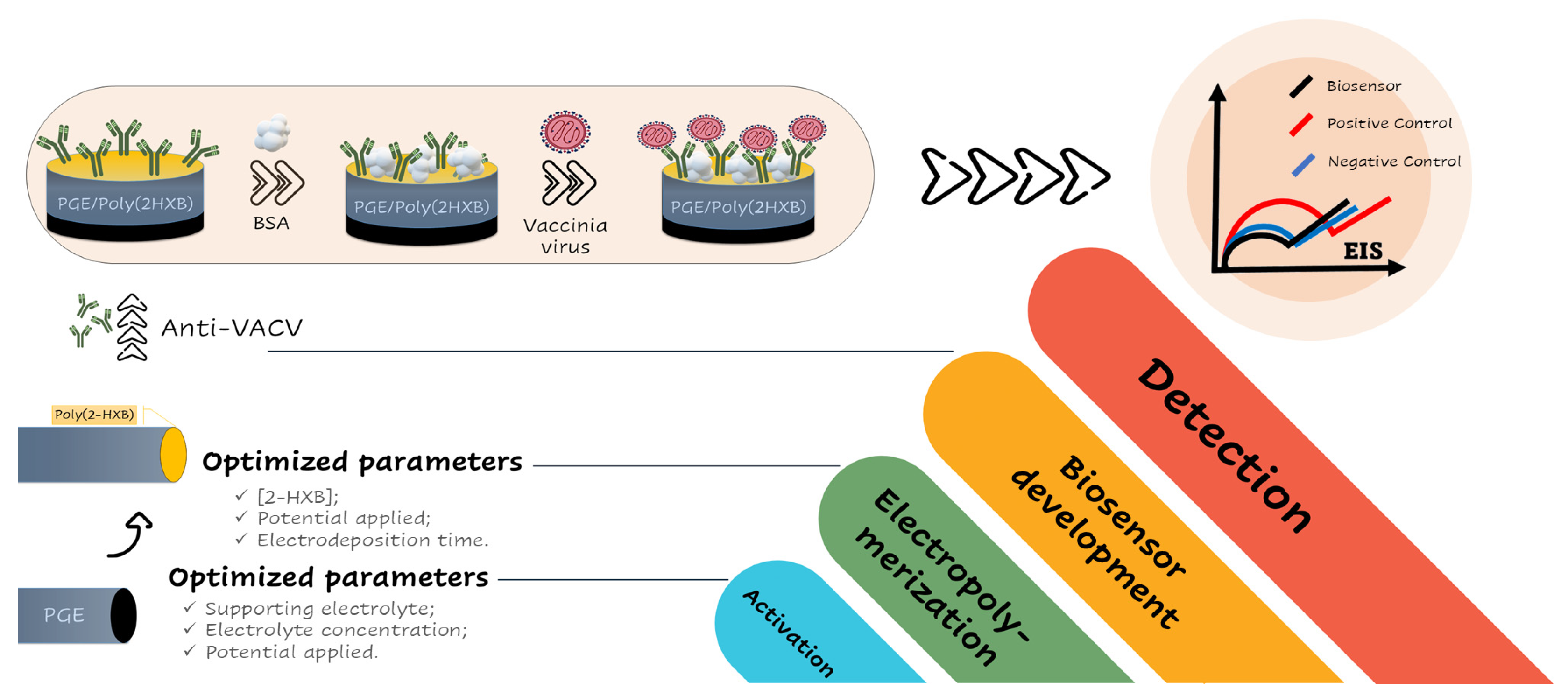 Chemosensors 13 00084 g001