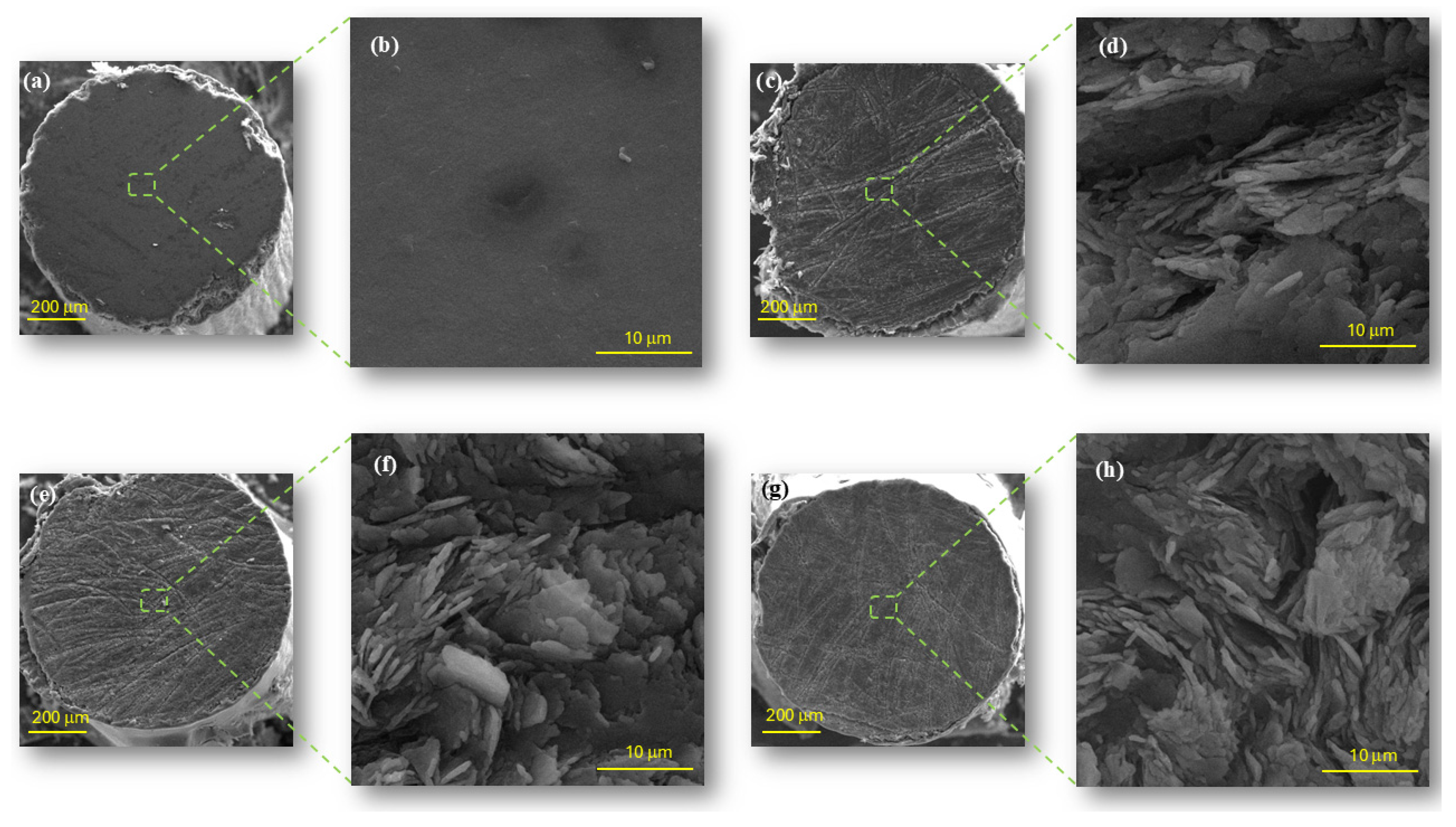 Chemosensors 13 00084 g008