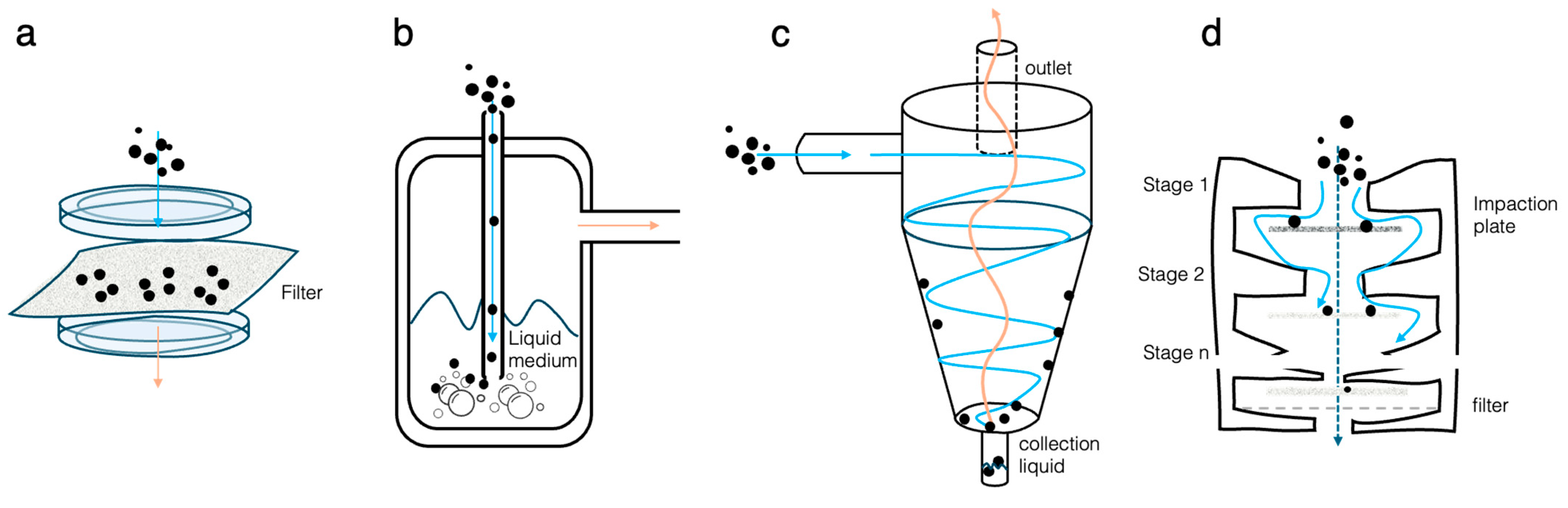 Chemosensors 13 00086 g002