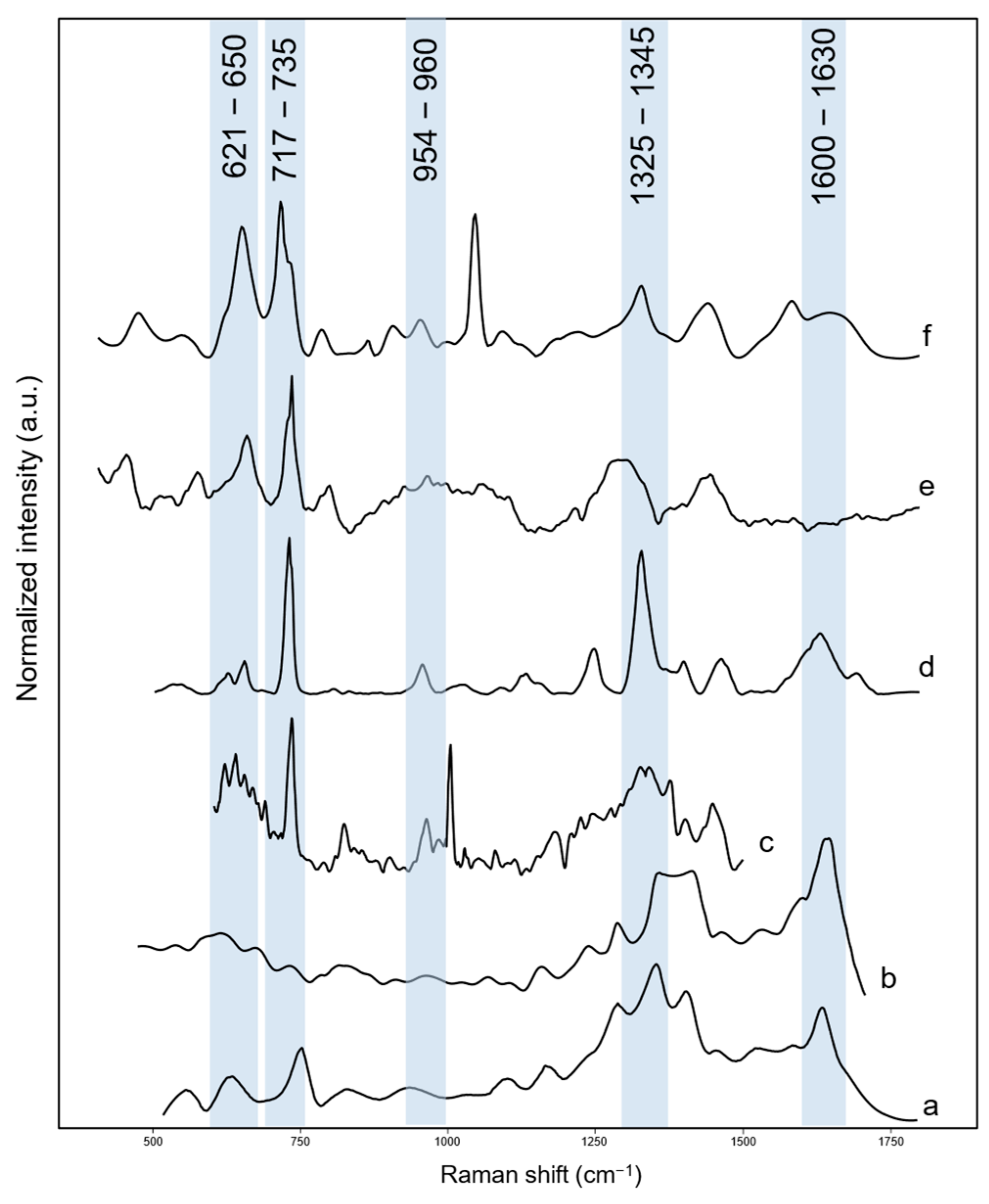 Chemosensors 13 00086 g005