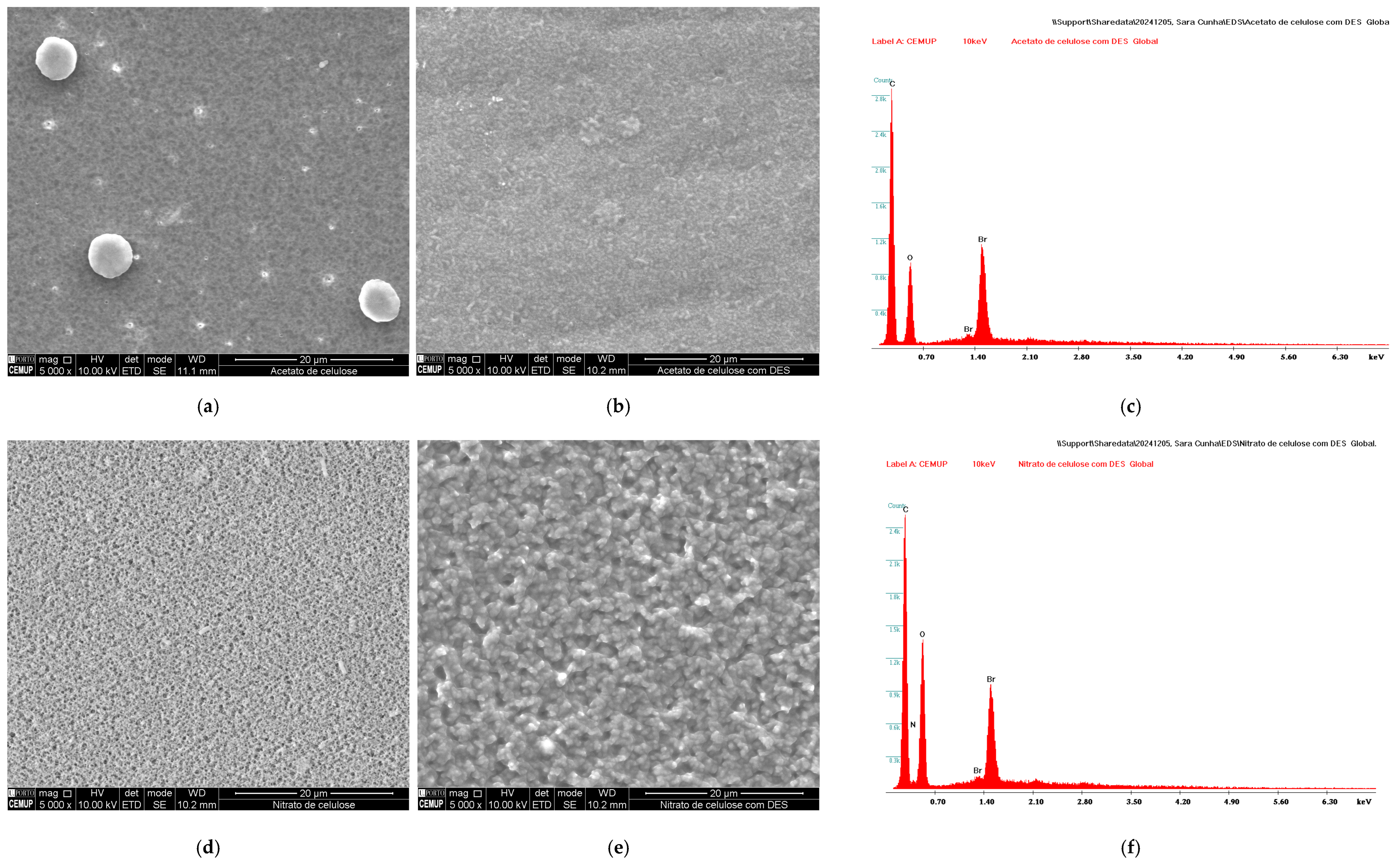 Chemosensors 13 00088 g002a