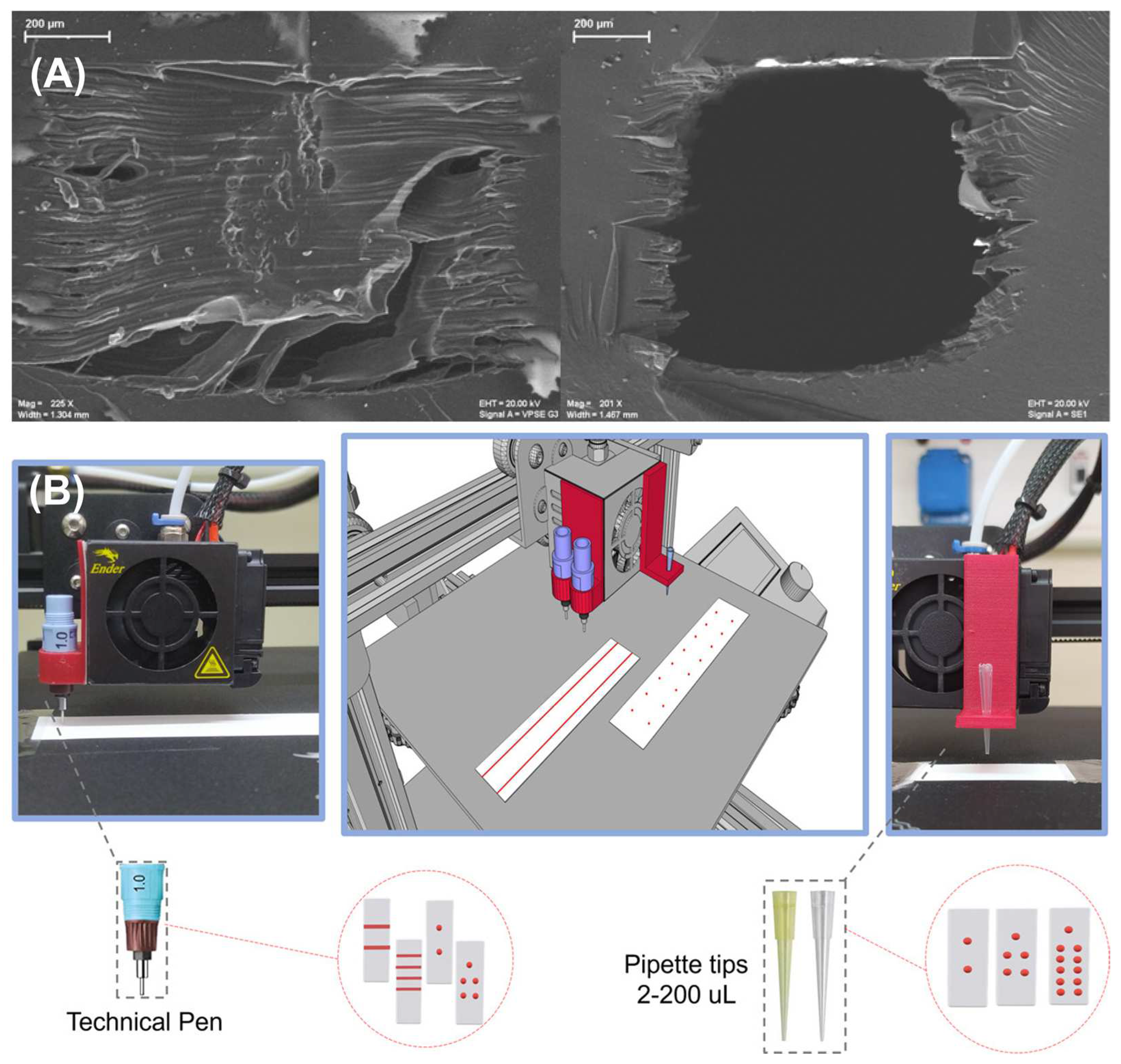 Chemosensors 13 00089 g004