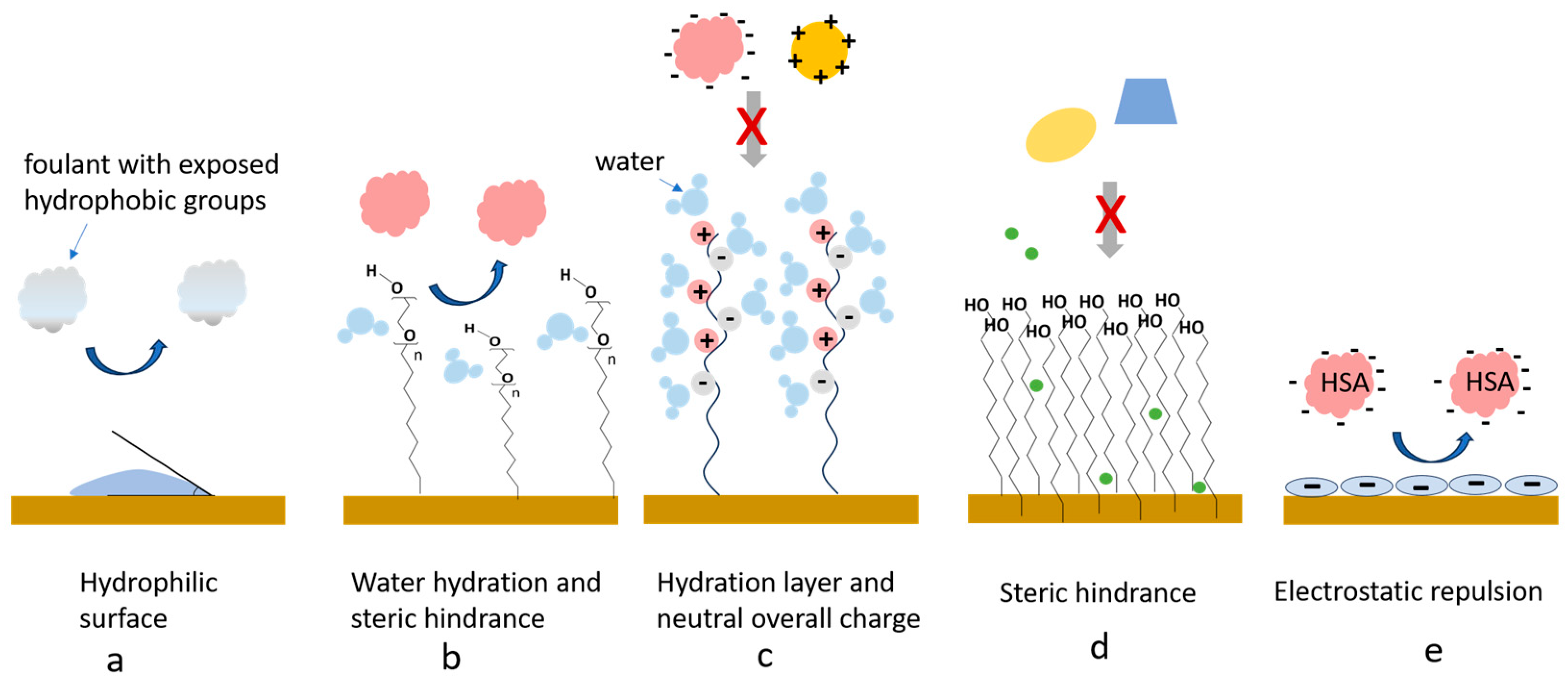 Chemosensors 13 00092 g003