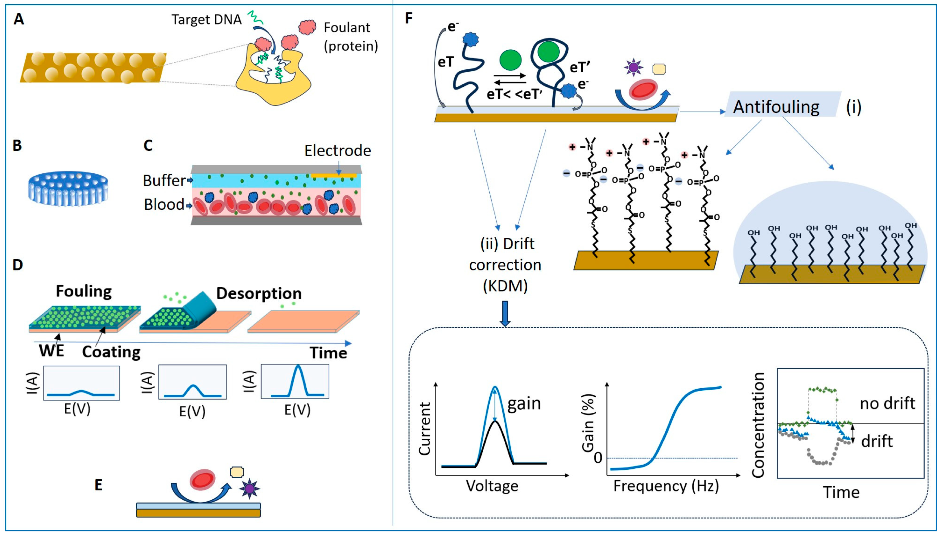 Chemosensors 13 00092 g006
