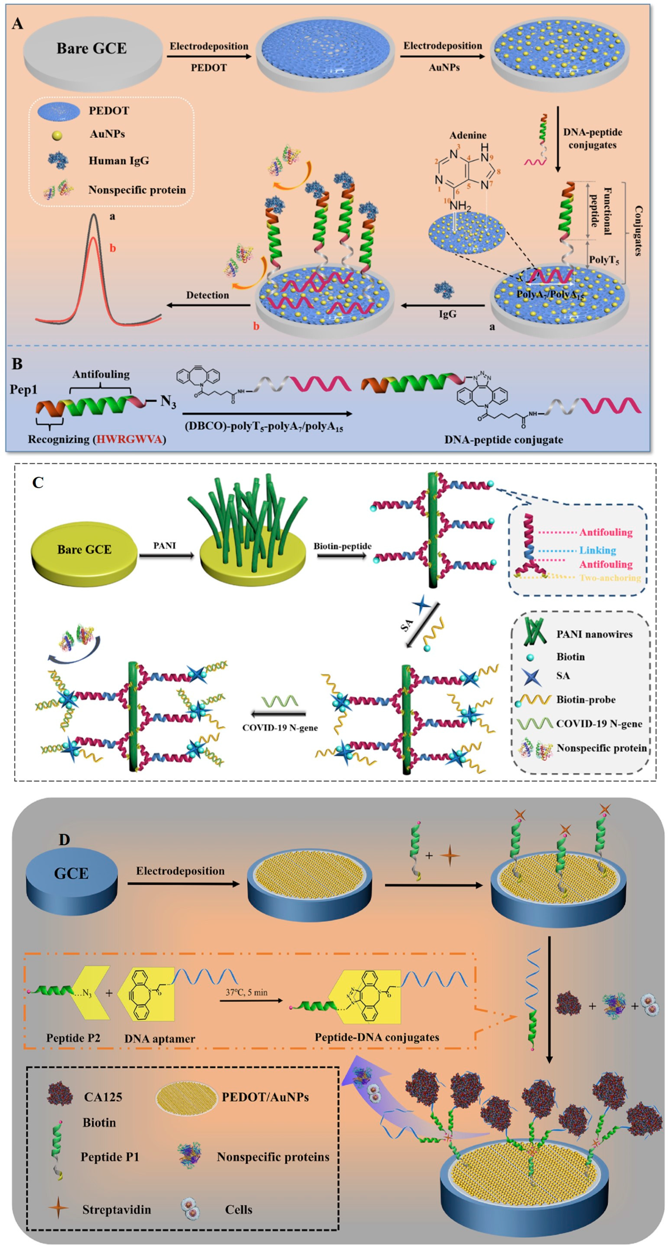 Chemosensors 13 00092 g009