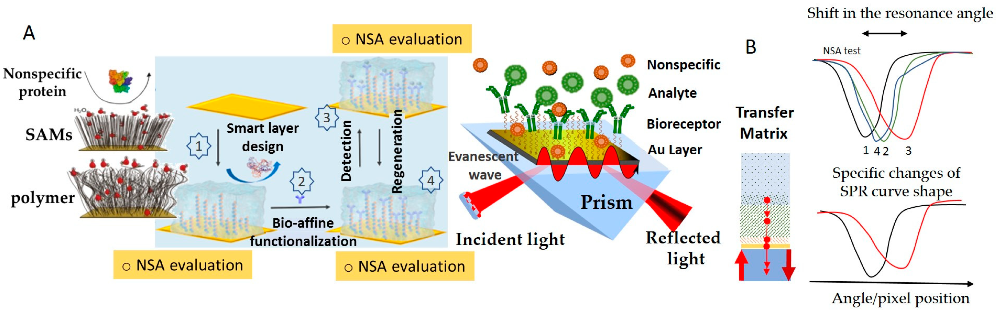 Chemosensors 13 00092 g010