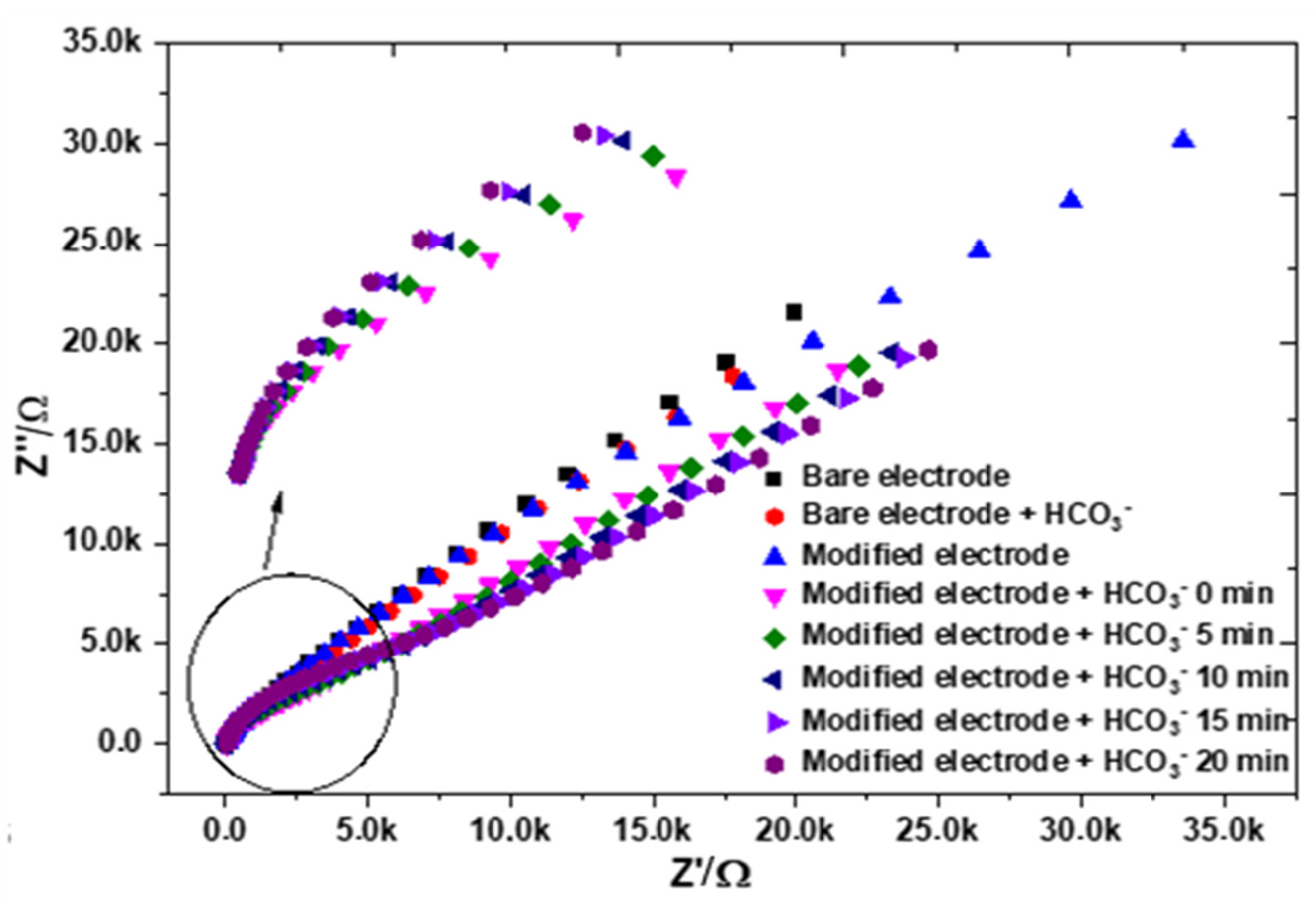 Chemosensors 13 00093 g005 Chemosensors 13 00093 g005