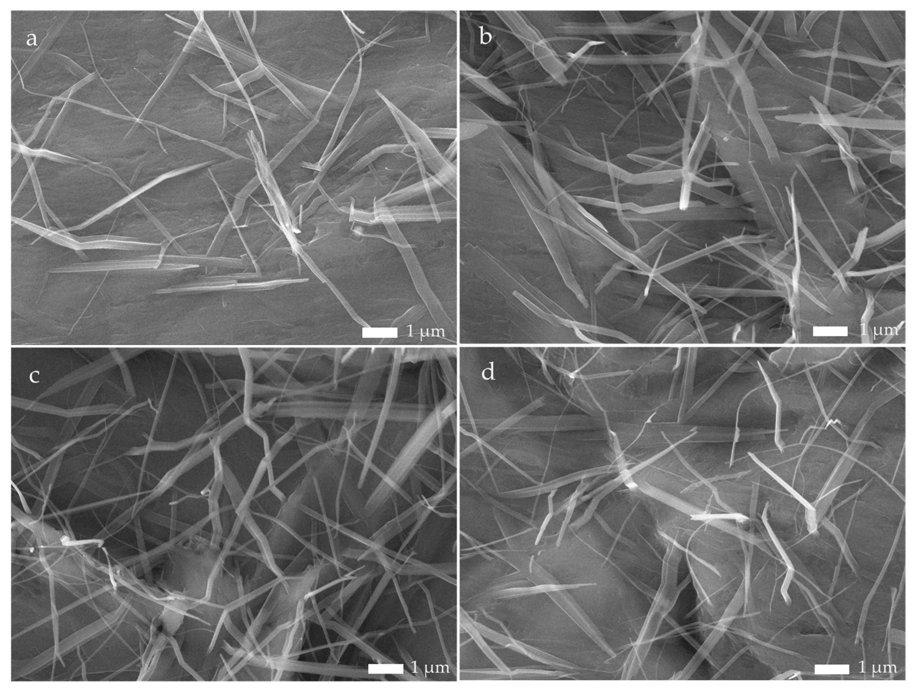 Chemosensors 13 00095 g001