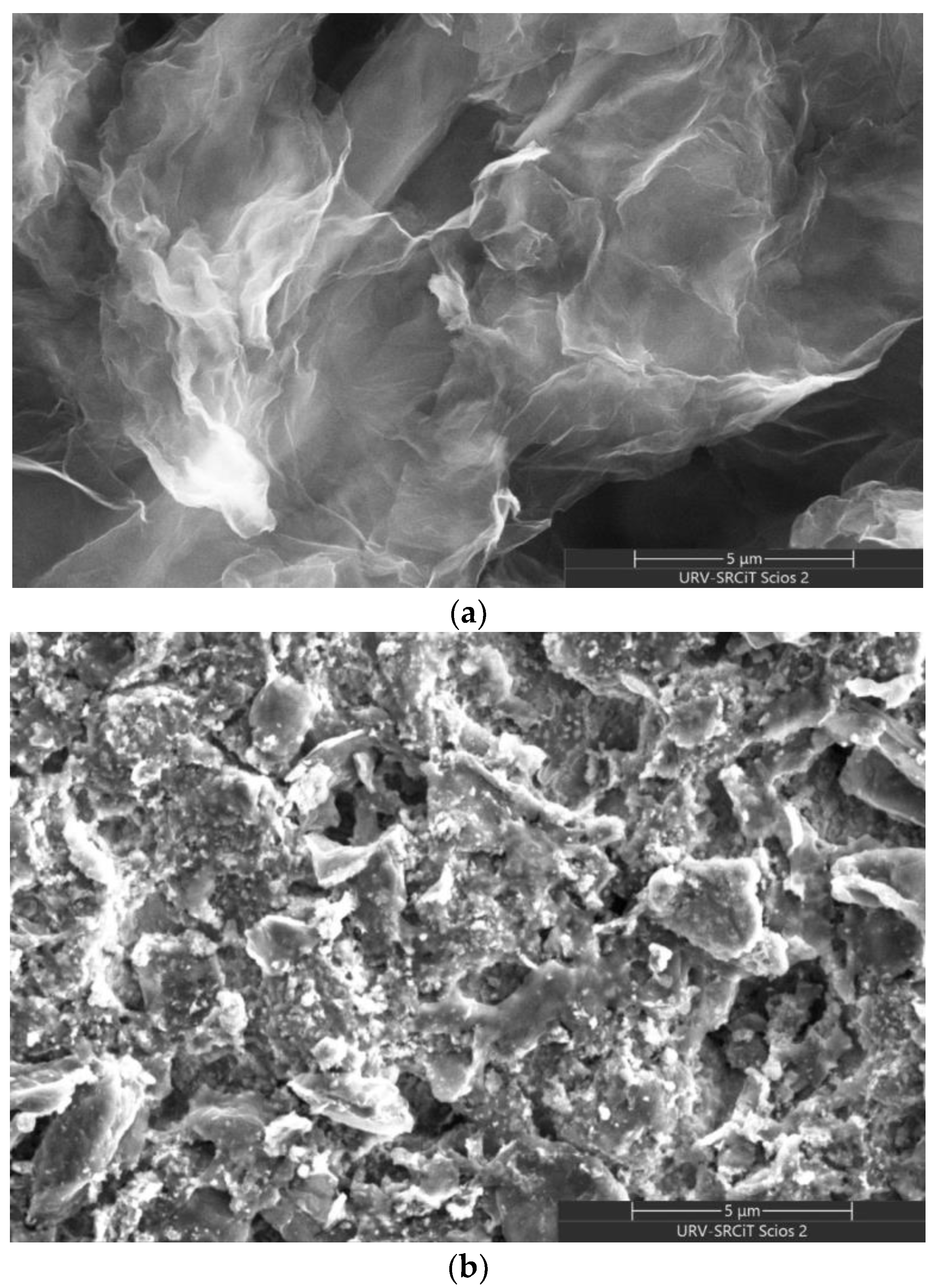 Chemosensors 13 00096 g004