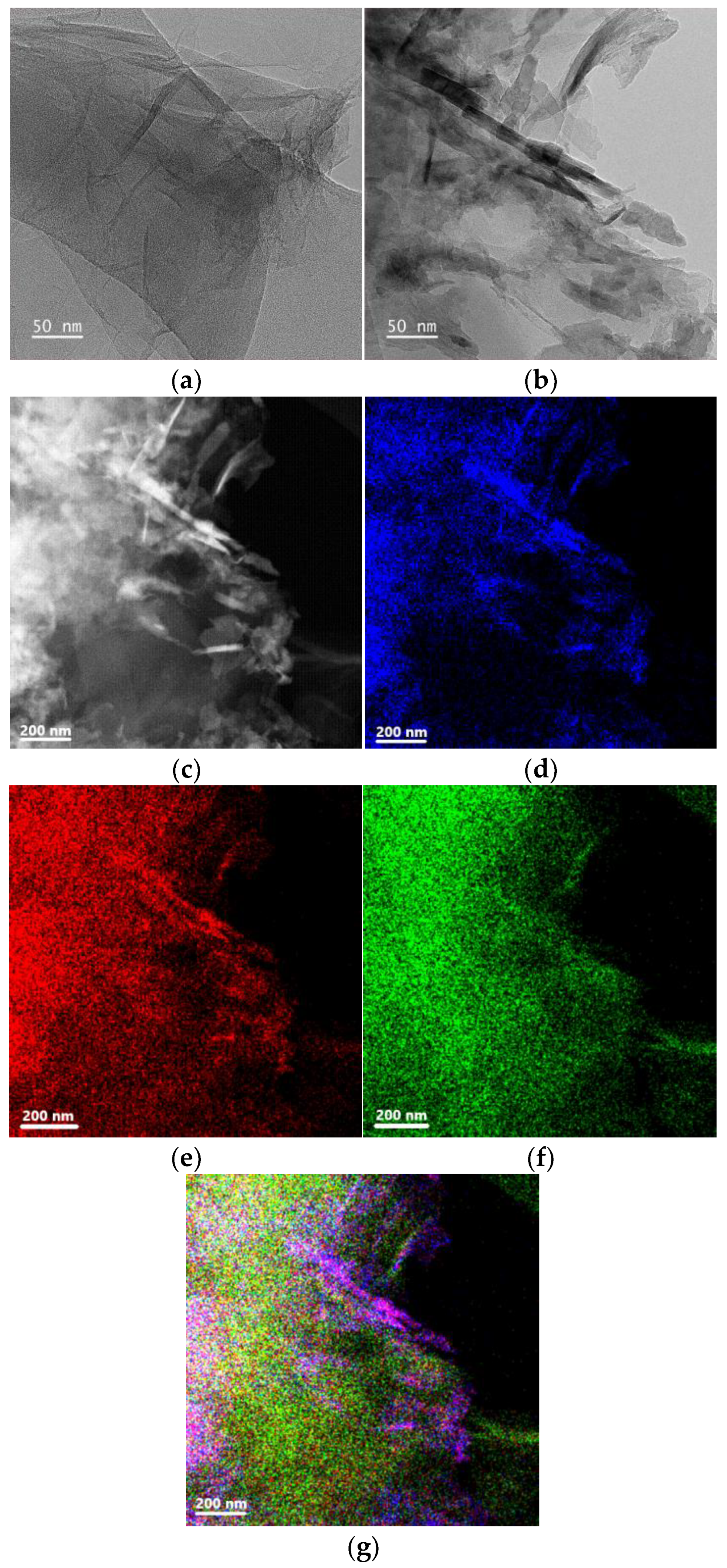 Chemosensors 13 00096 g005