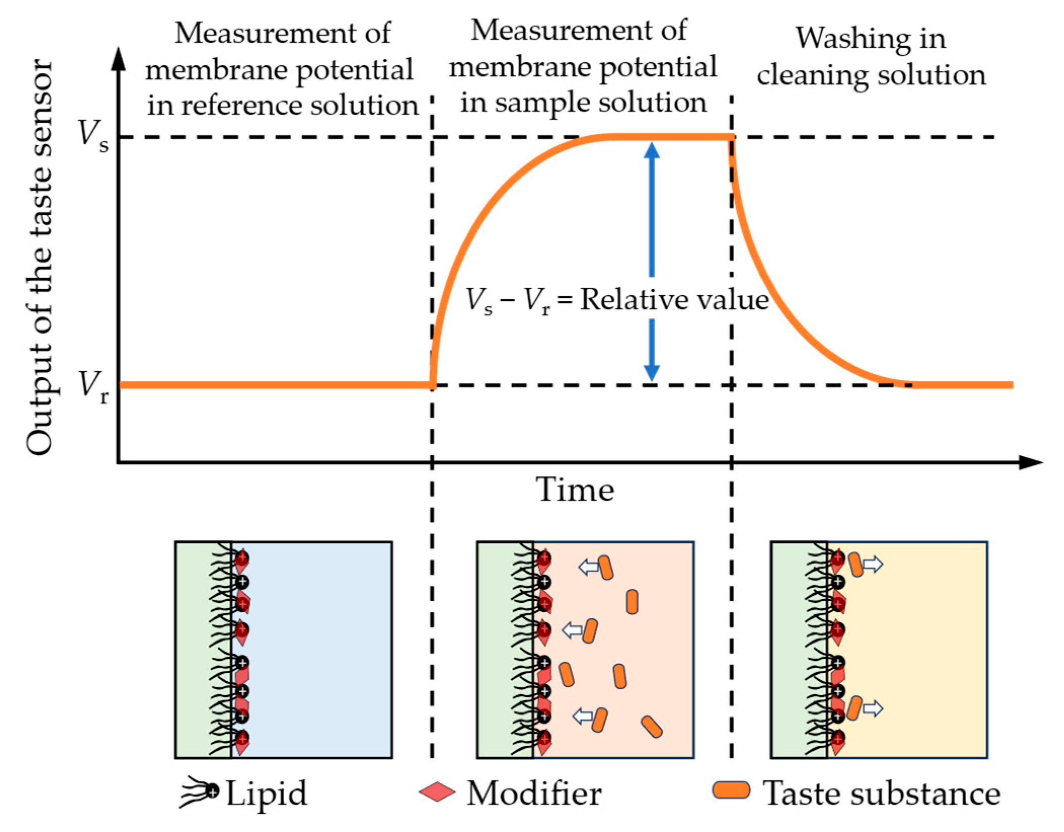 Chemosensors 13 00098 g004