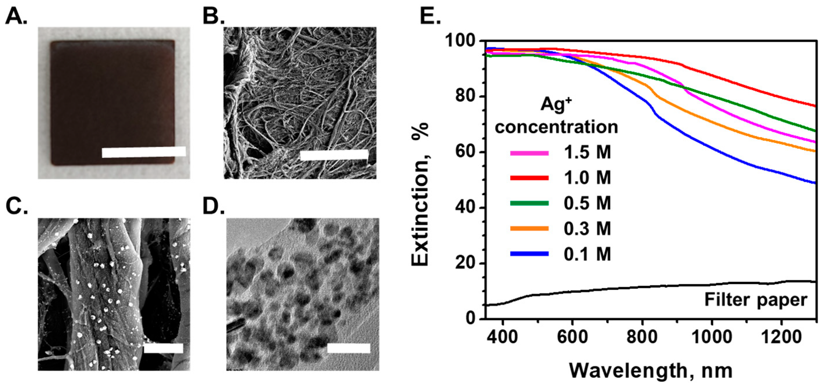 Chemosensors 13 00101 g001
