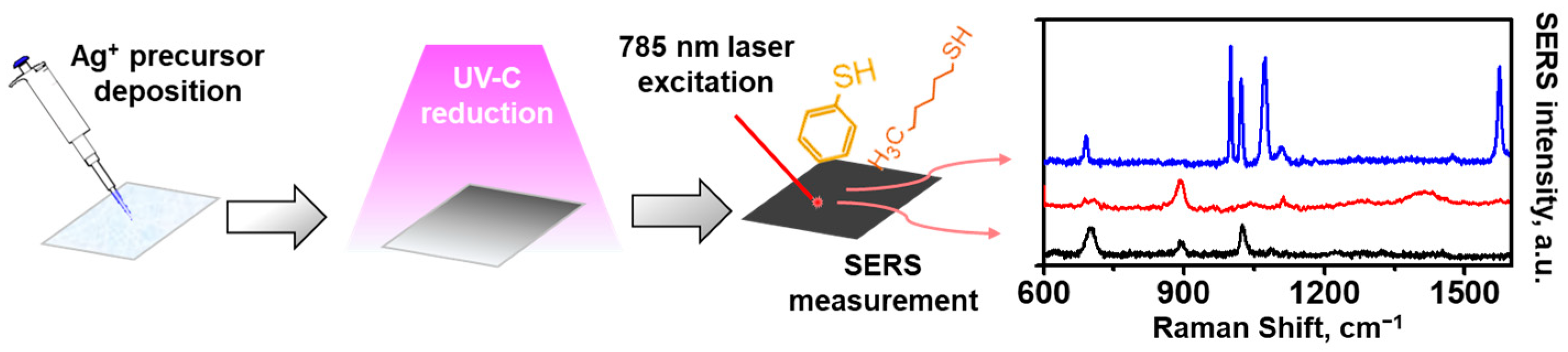 Chemosensors 13 00101 sch001