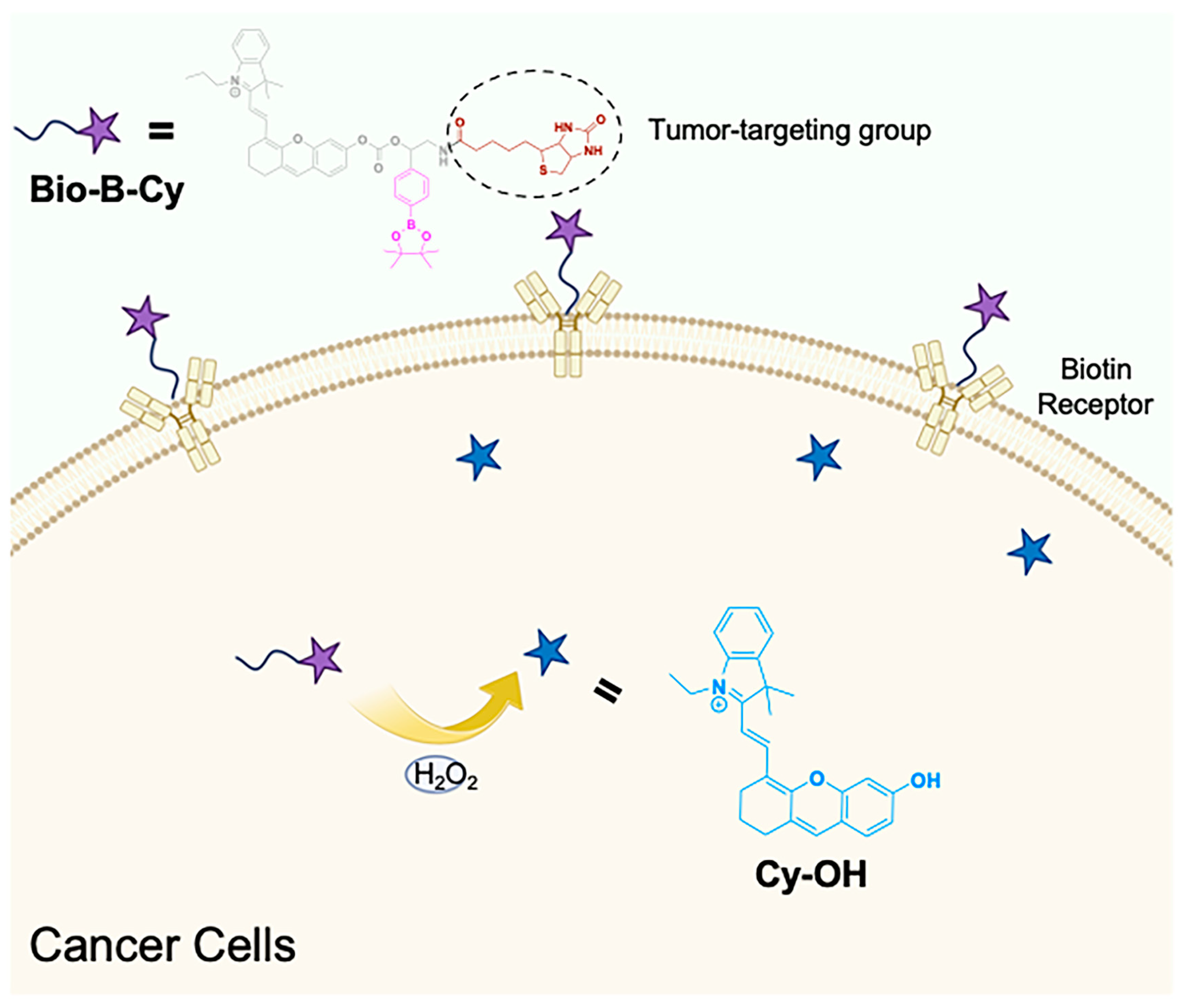 Chemosensors 13 00104 g001