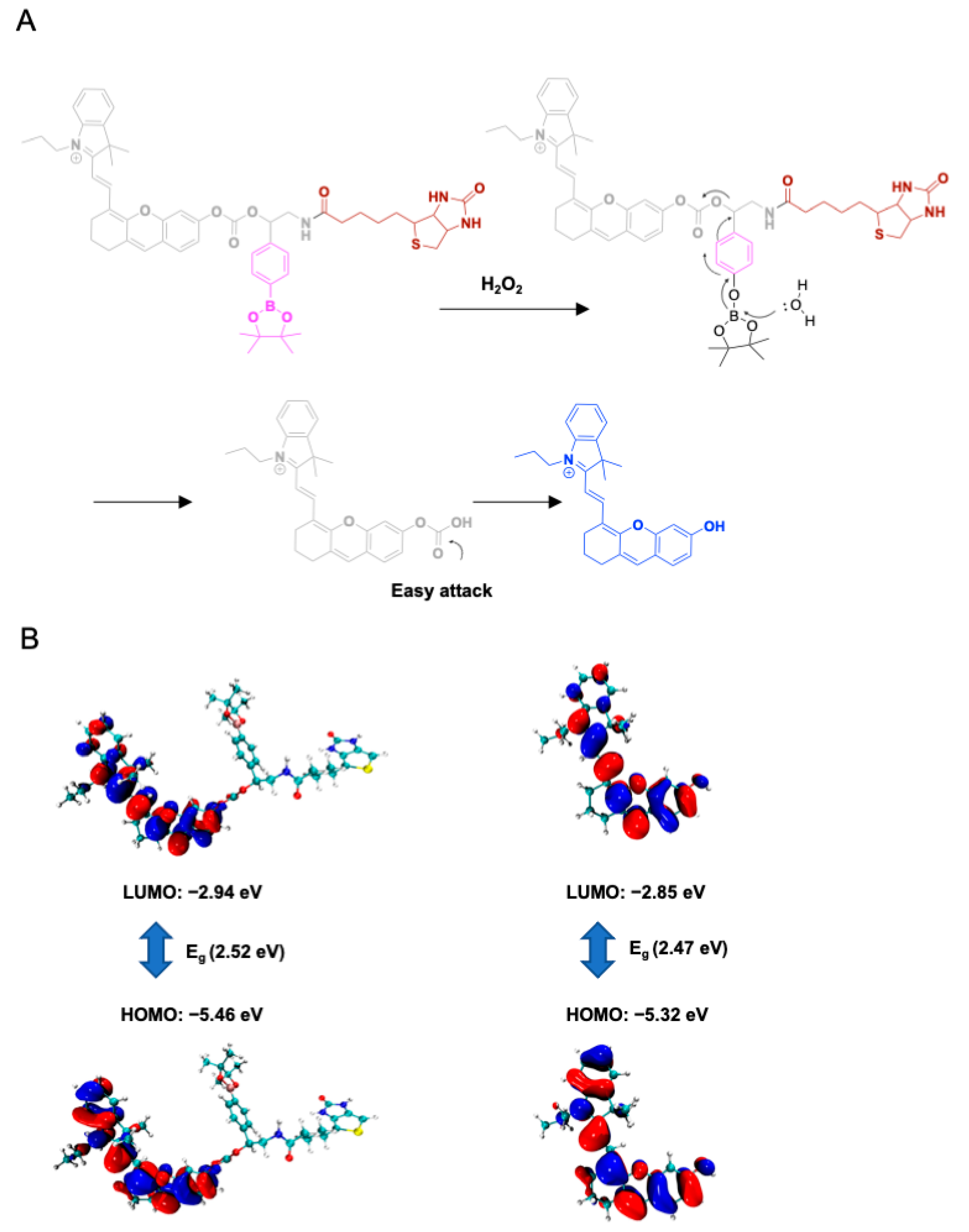 Chemosensors 13 00104 g003