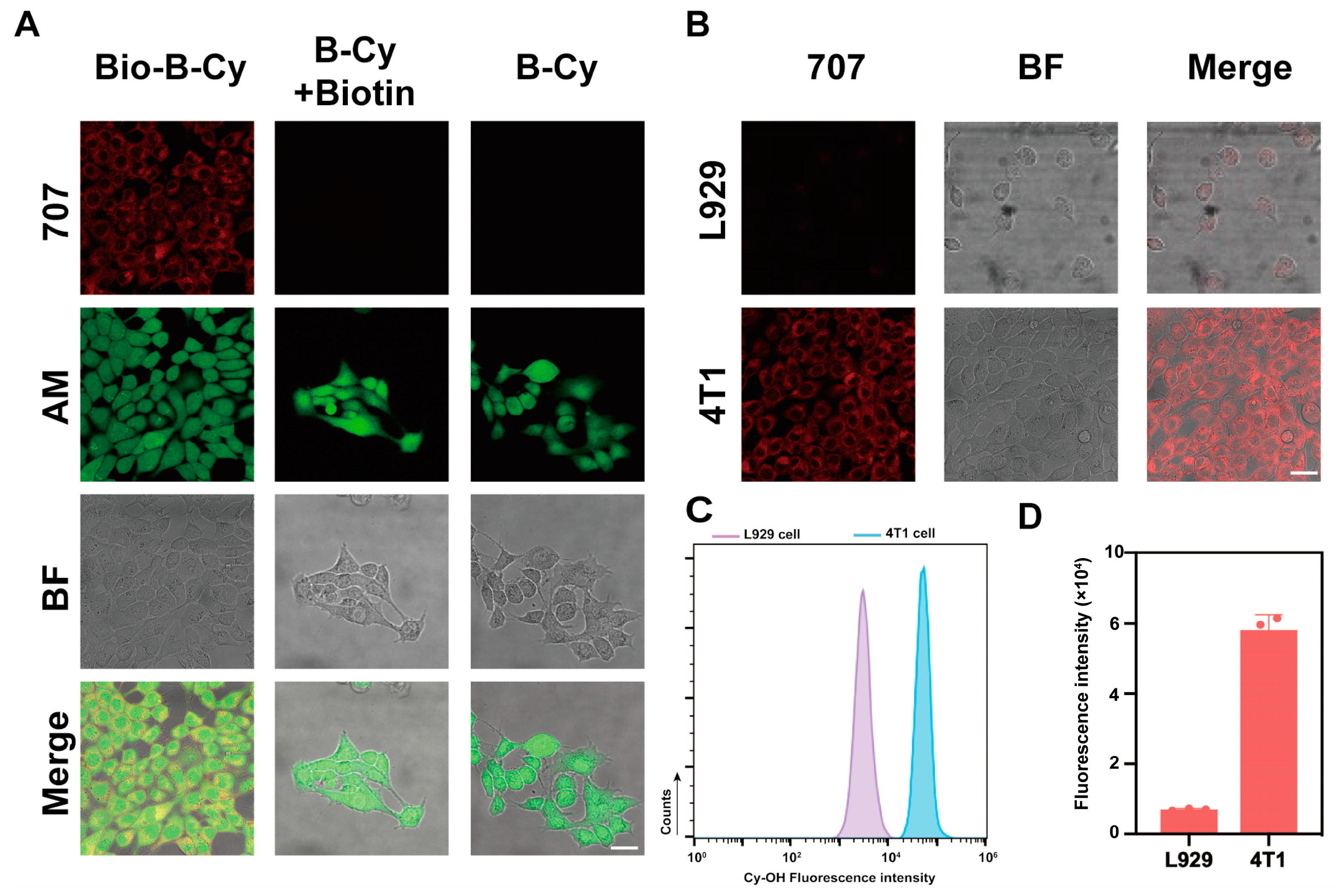Chemosensors 13 00104 g004