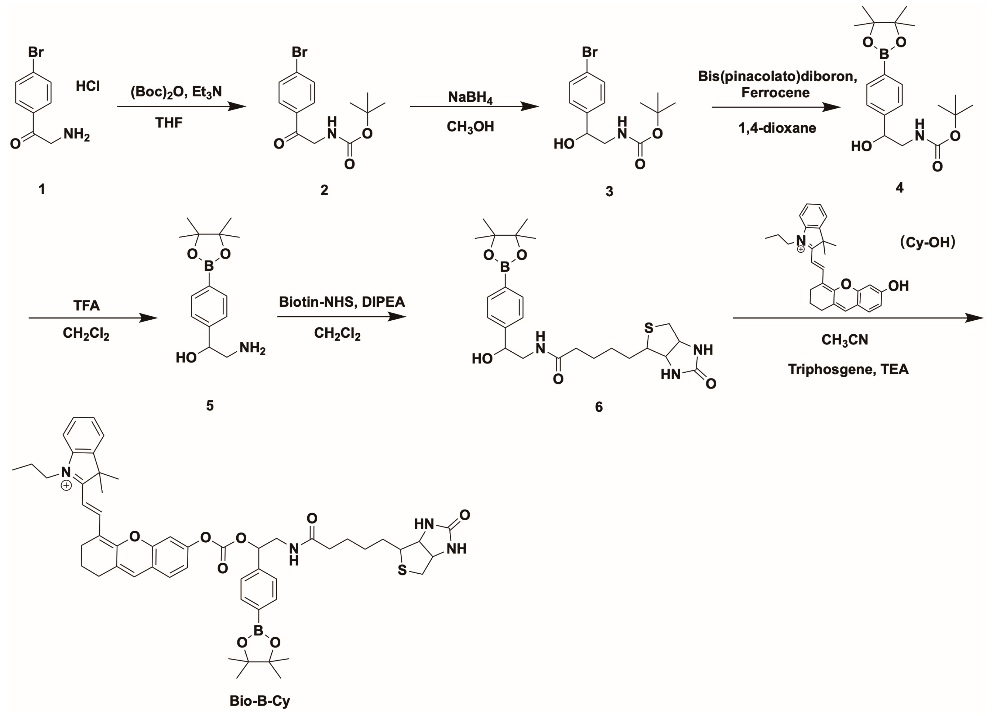 Chemosensors 13 00104 sch001