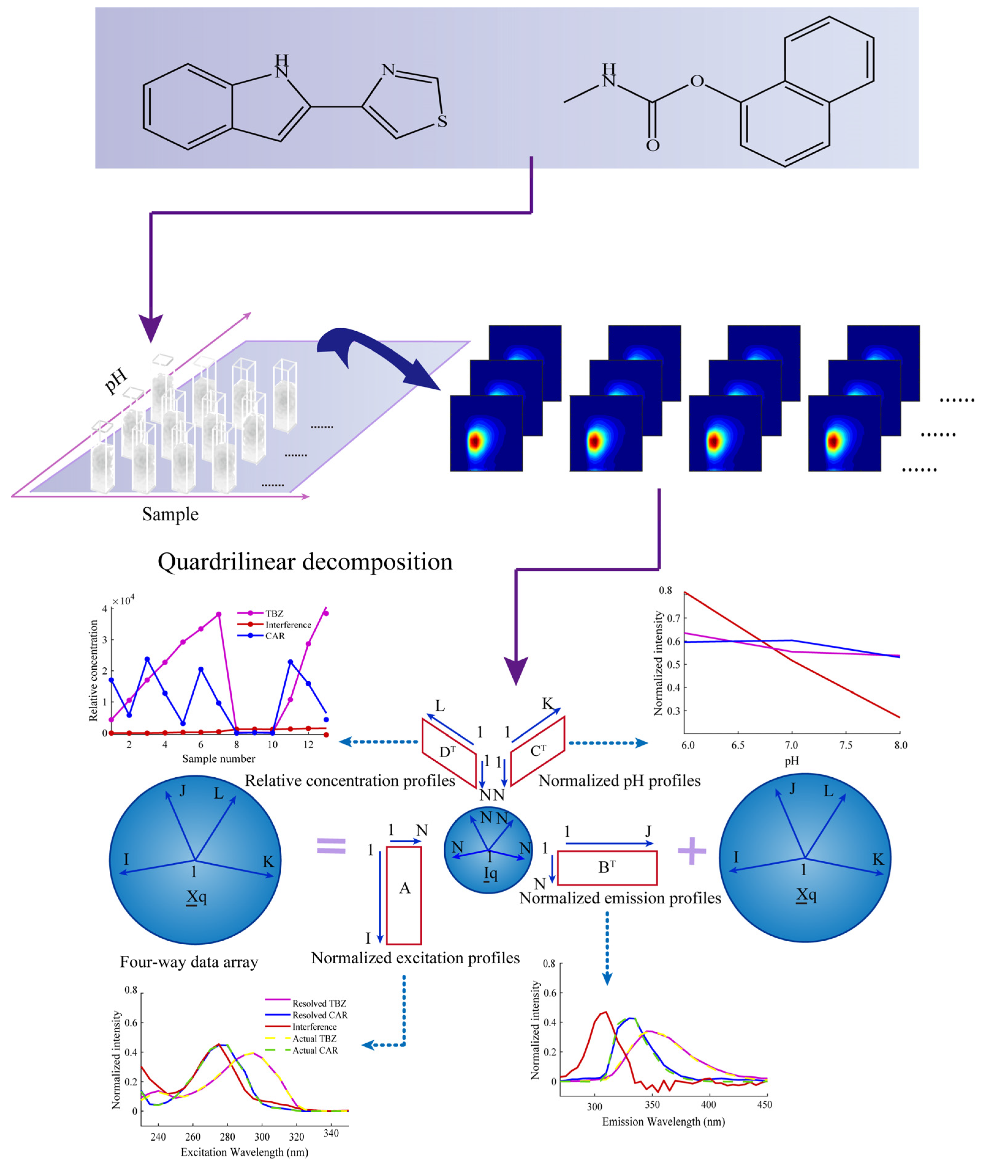 Chemosensors 13 00107 g001