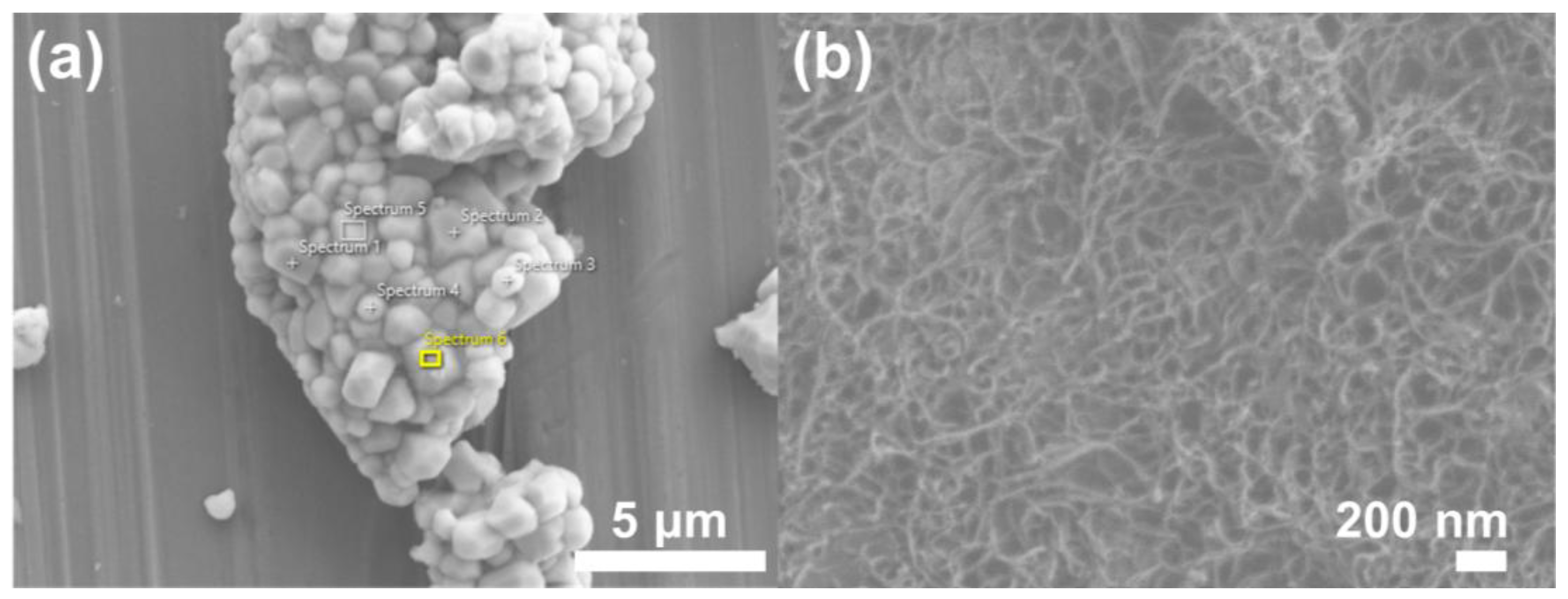 Chemosensors 13 00109 g001