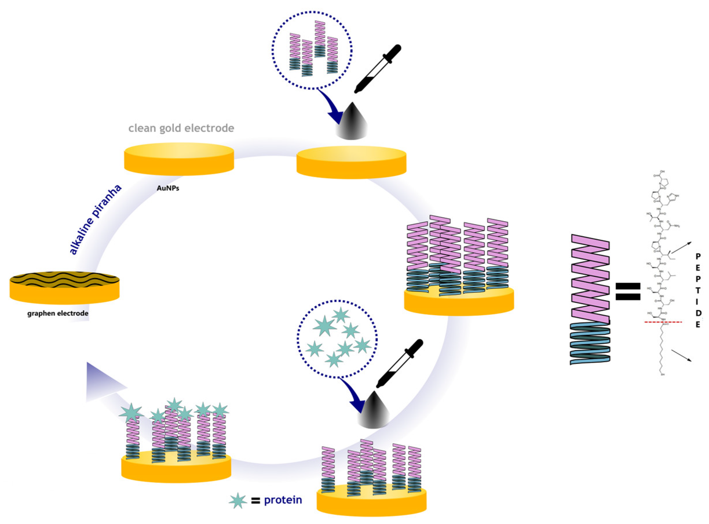Chemosensors 13 00111 g001