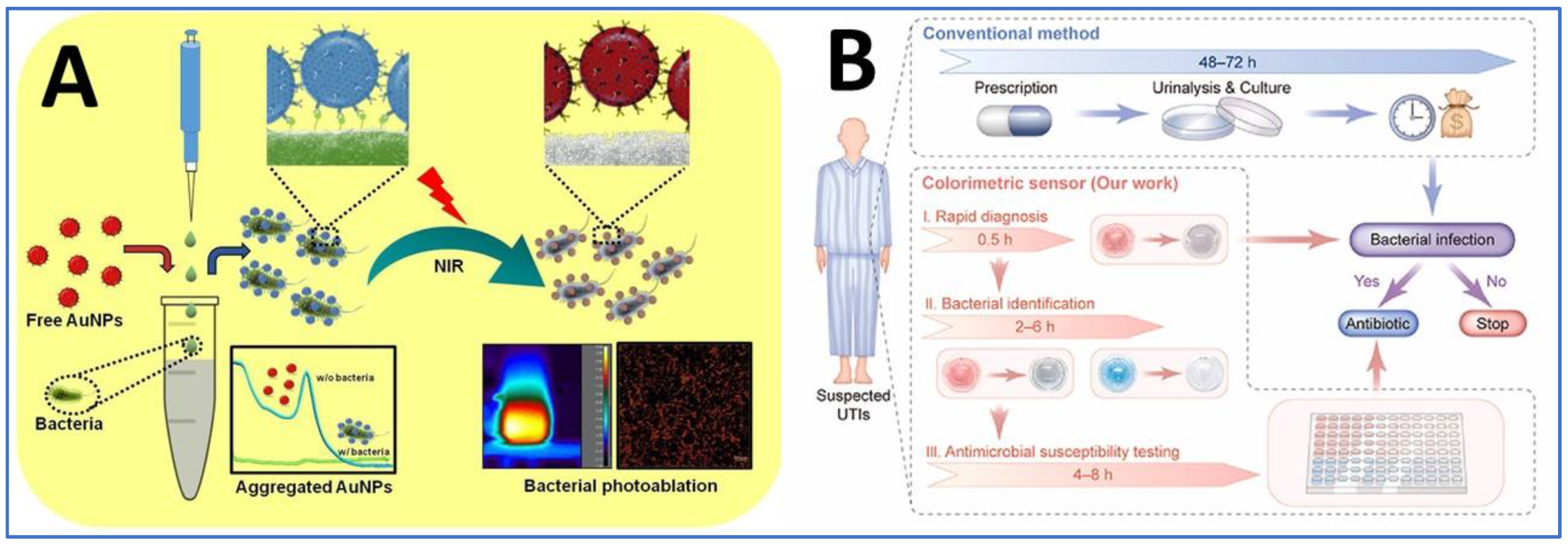 Chemosensors 13 00112 g001