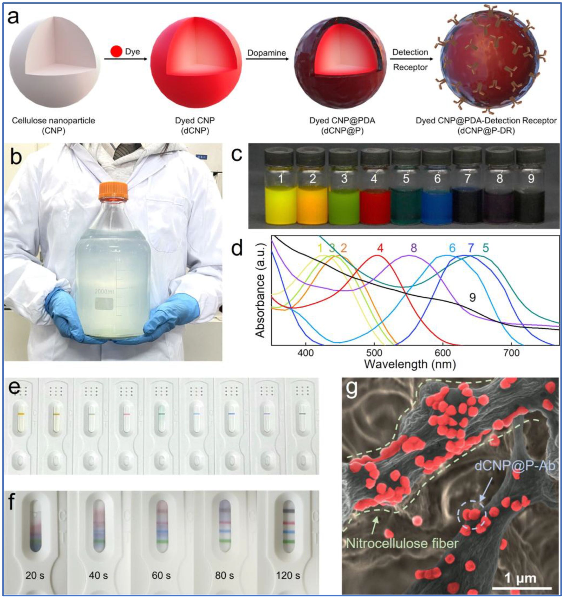 Chemosensors 13 00112 g003
