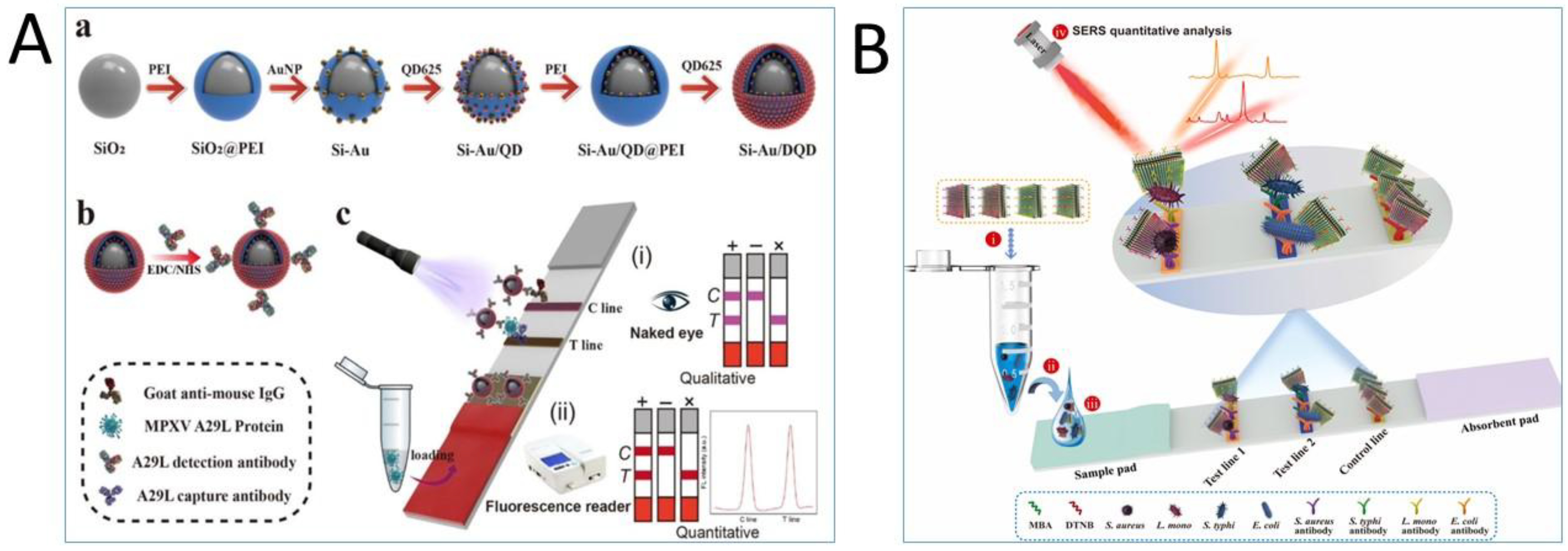 Chemosensors 13 00112 g004