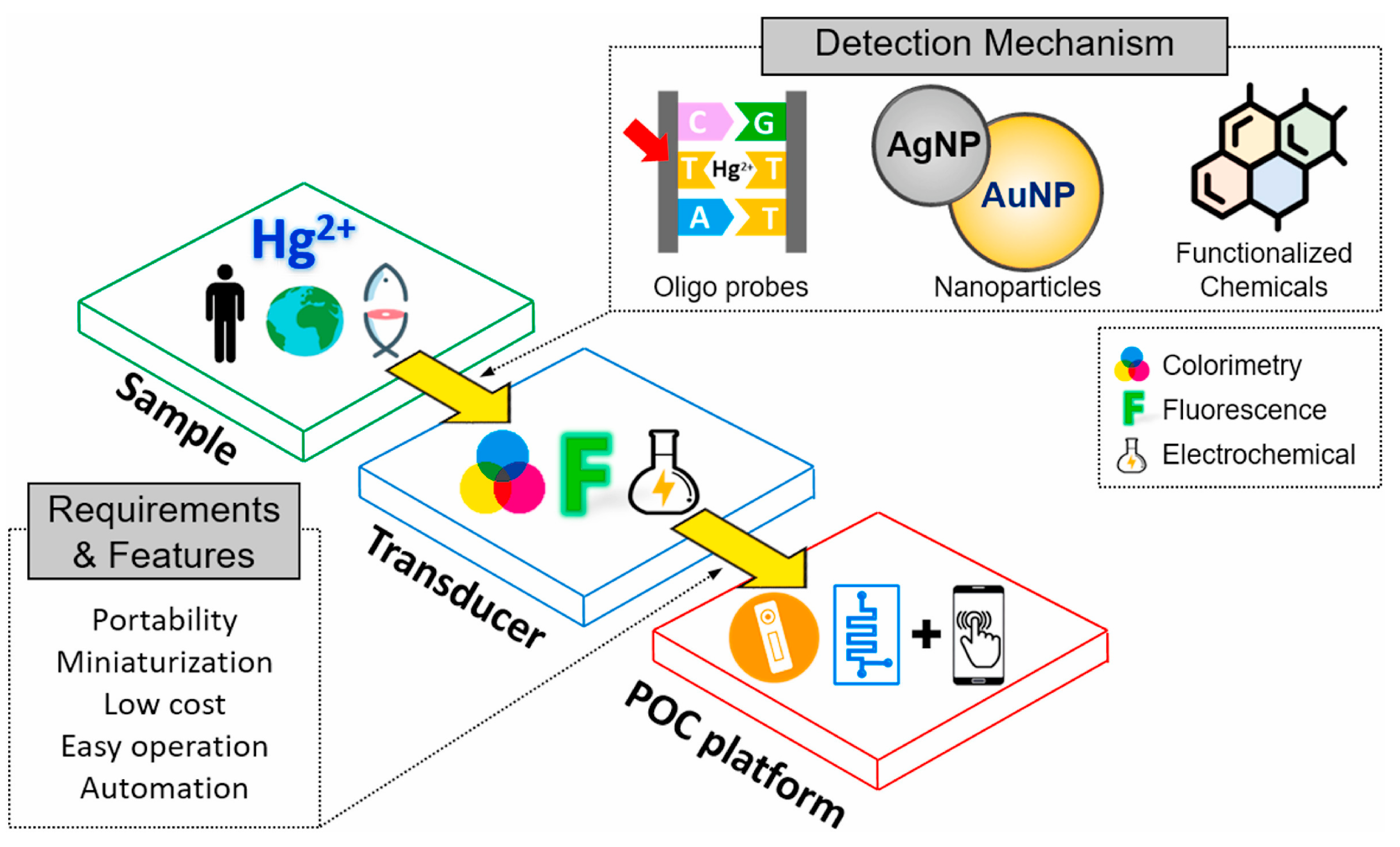 Chemosensors 13 00113 g001