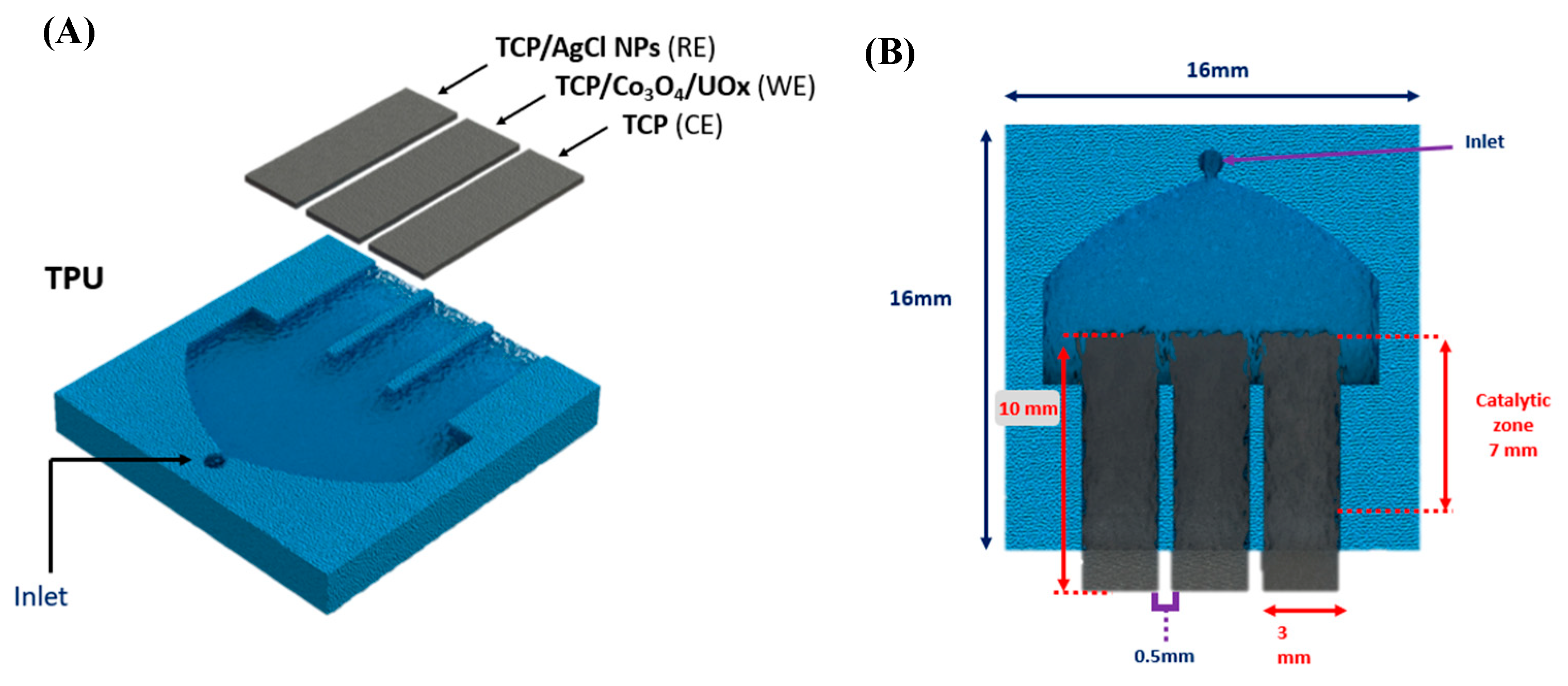 Chemosensors 13 00114 sch001