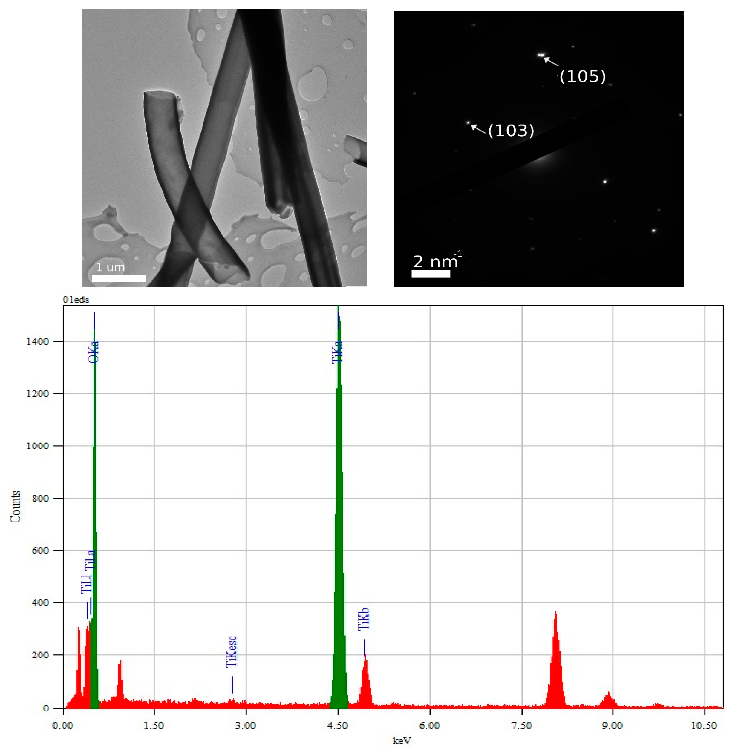 Chemosensors 13 00117 g001