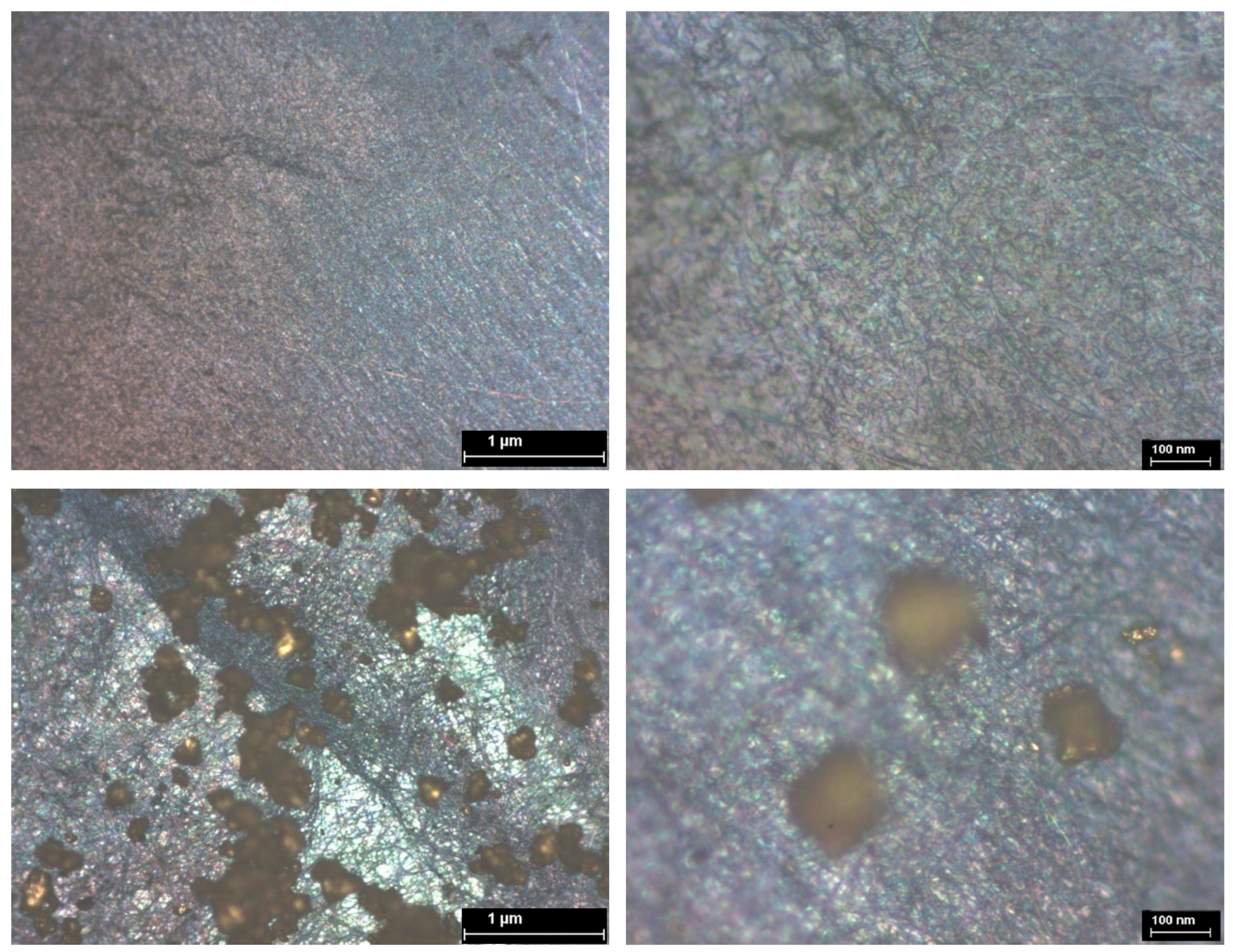 Chemosensors 13 00117 g009