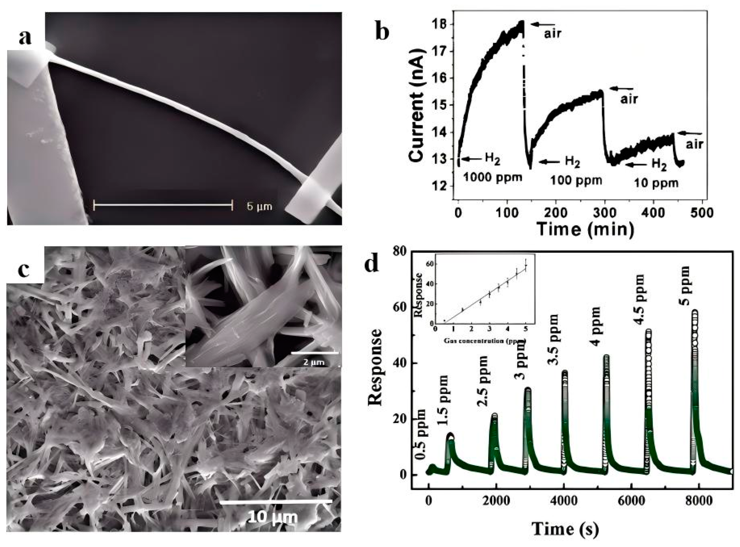 Chemosensors 13 00120 g002