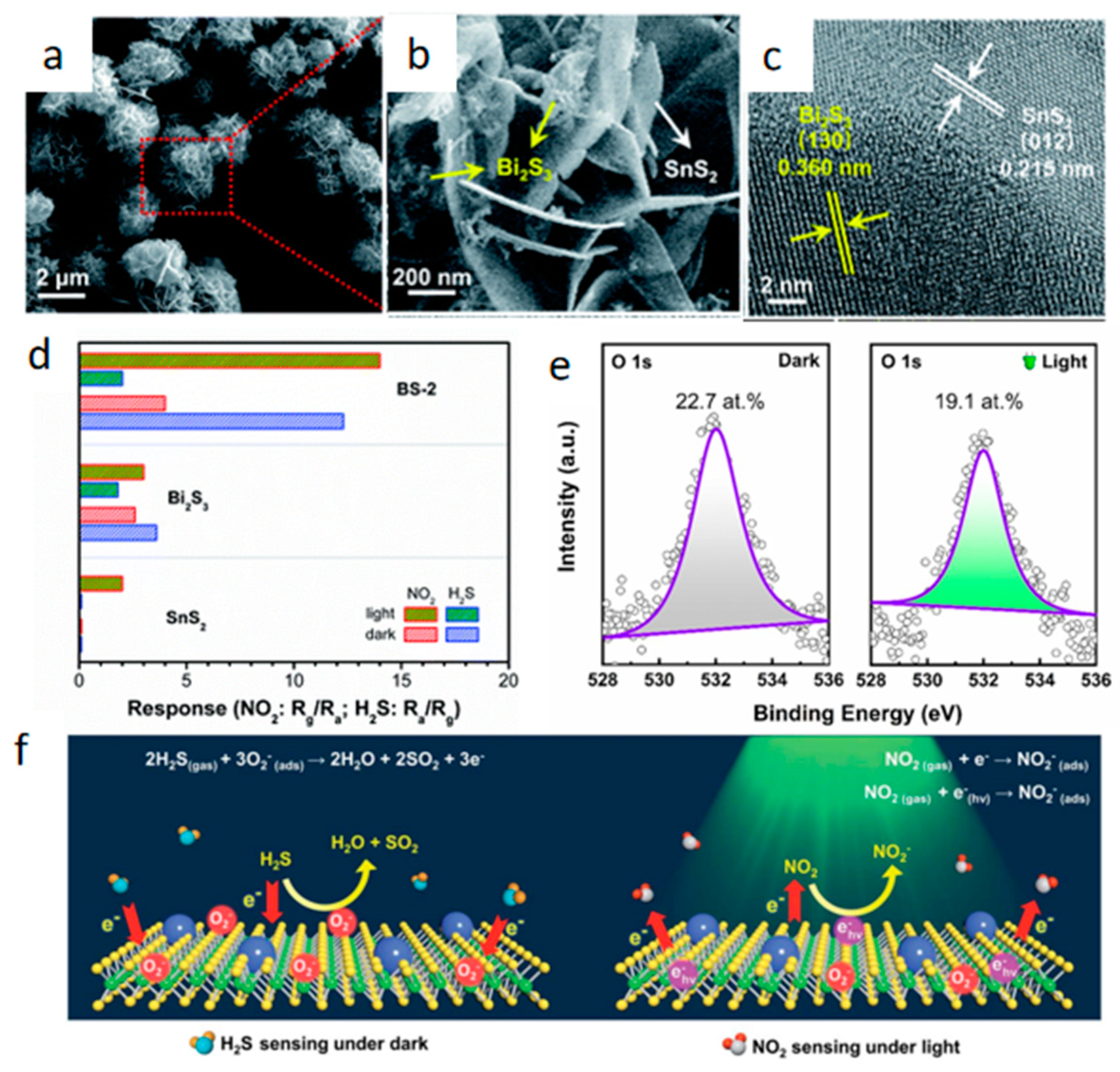 Chemosensors 13 00120 g010